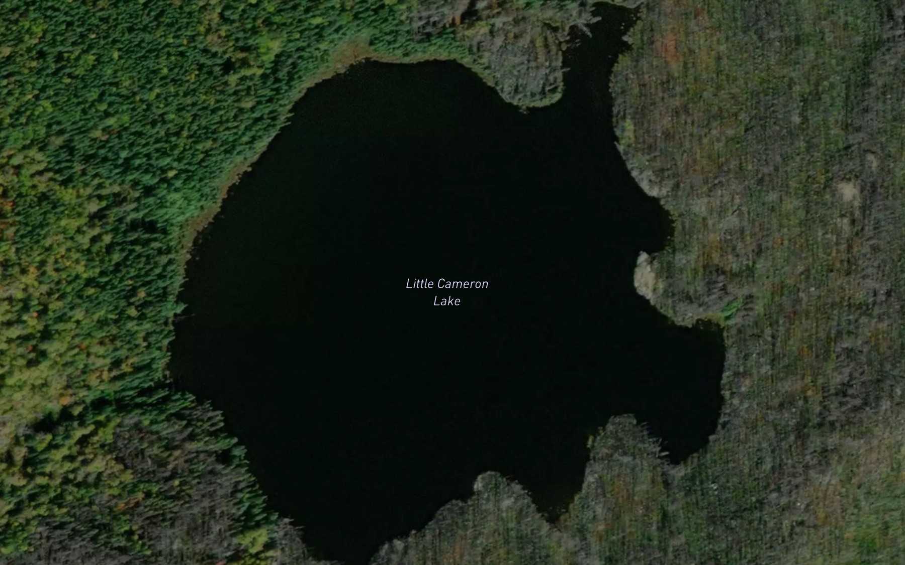 Satellite map of the Little Cameron Lake