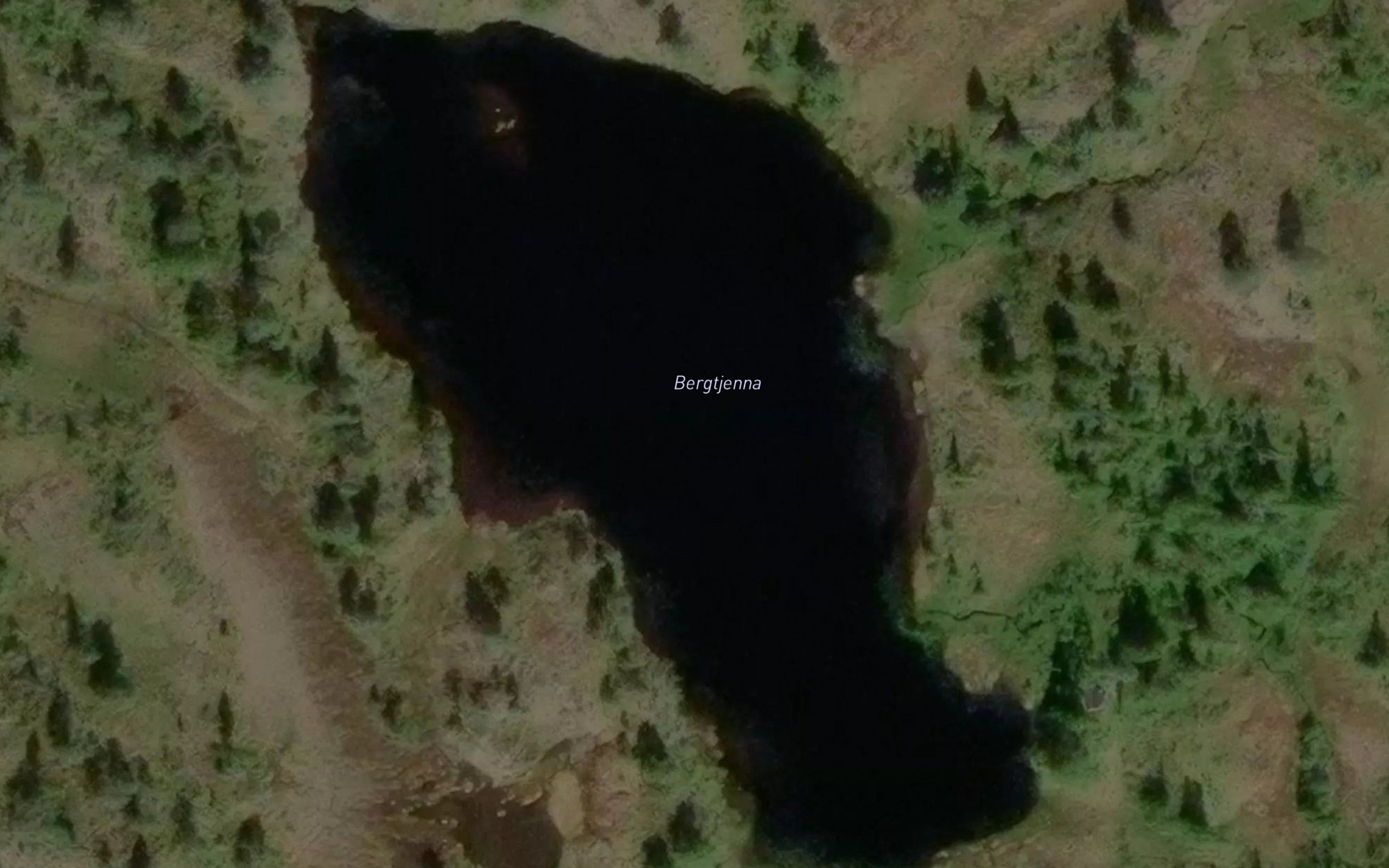 Bergtjorna