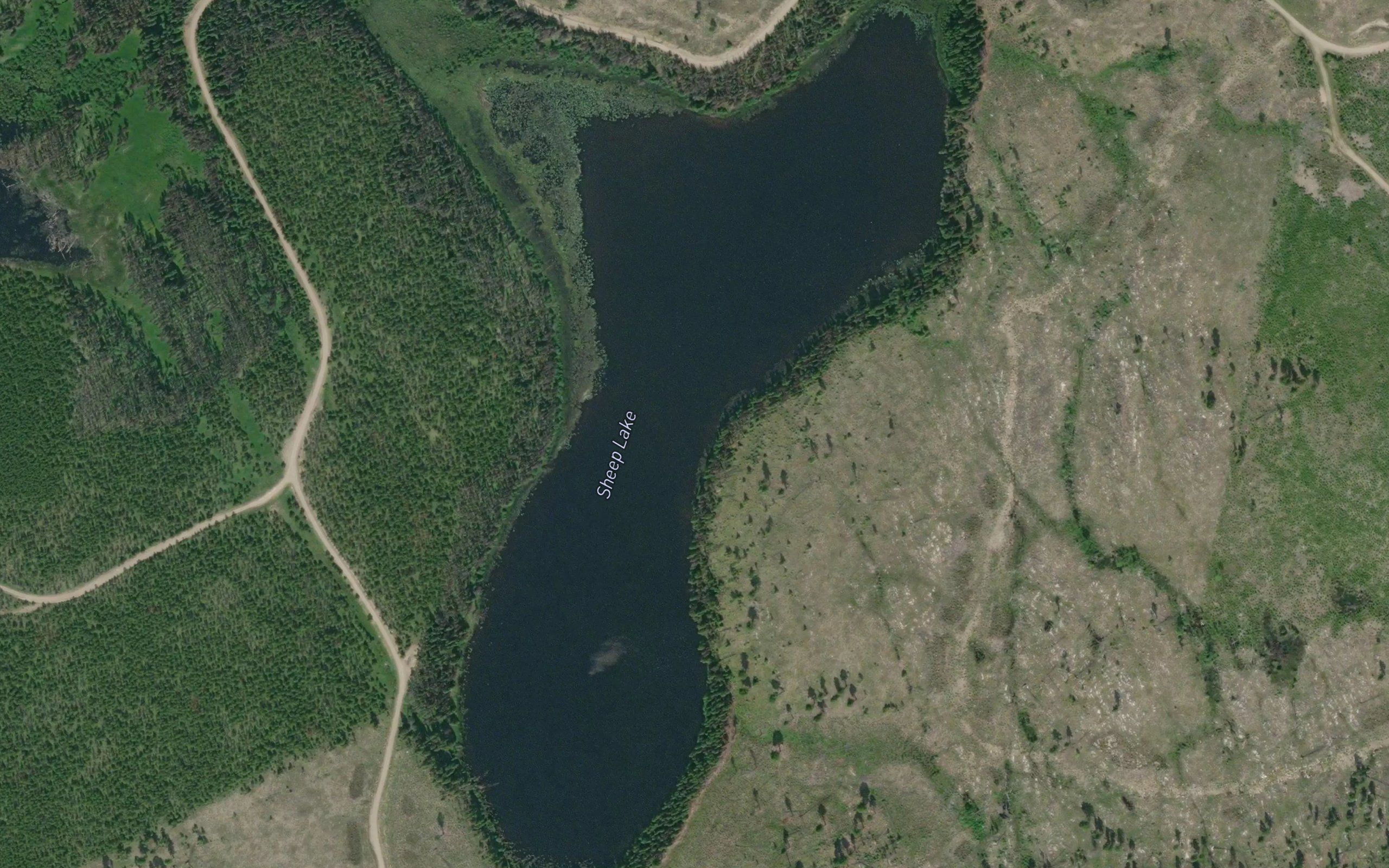 Sheep Lake