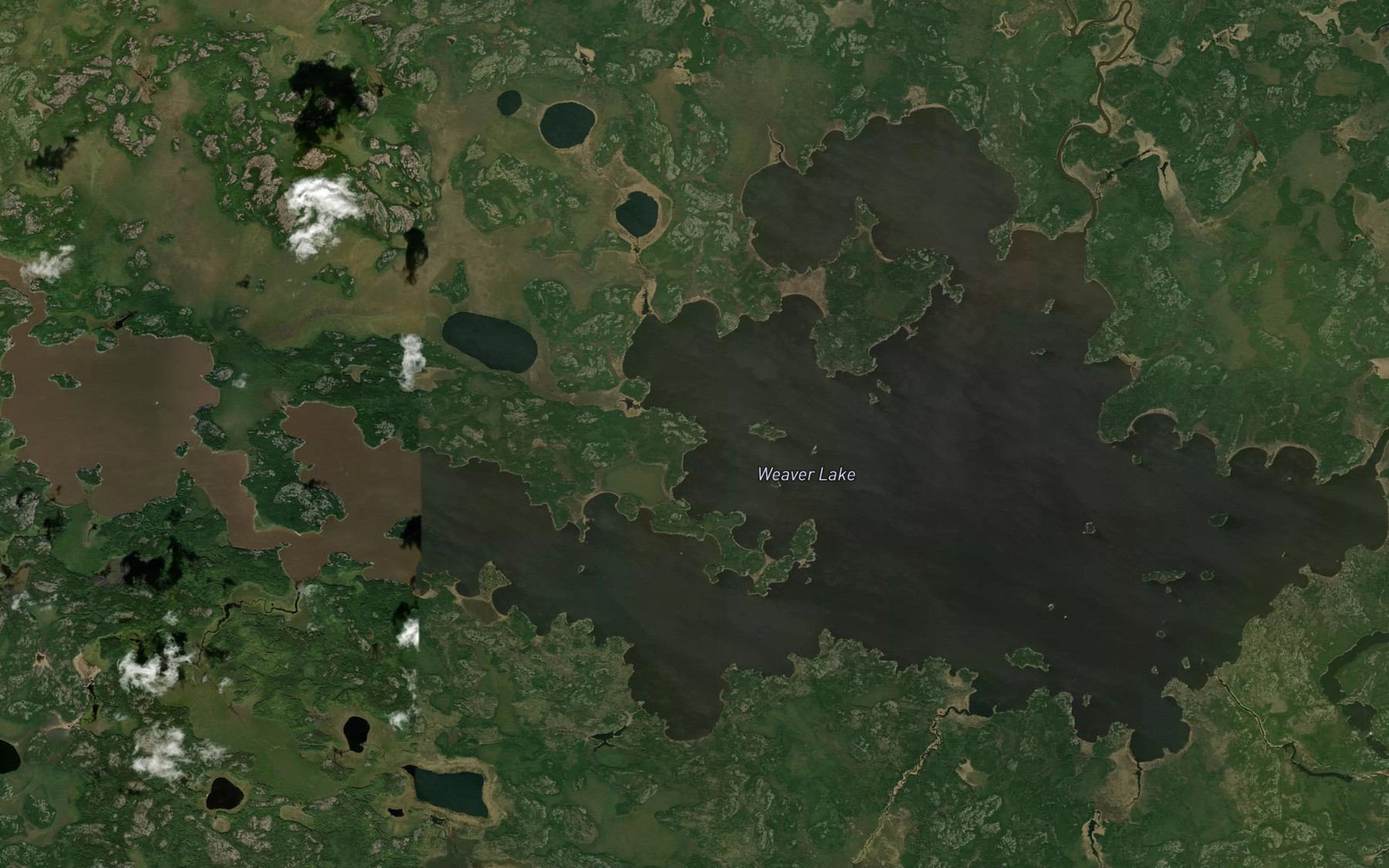 Satellite map of the Weaver Lake