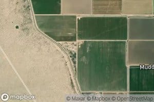 Tokay Drain Two