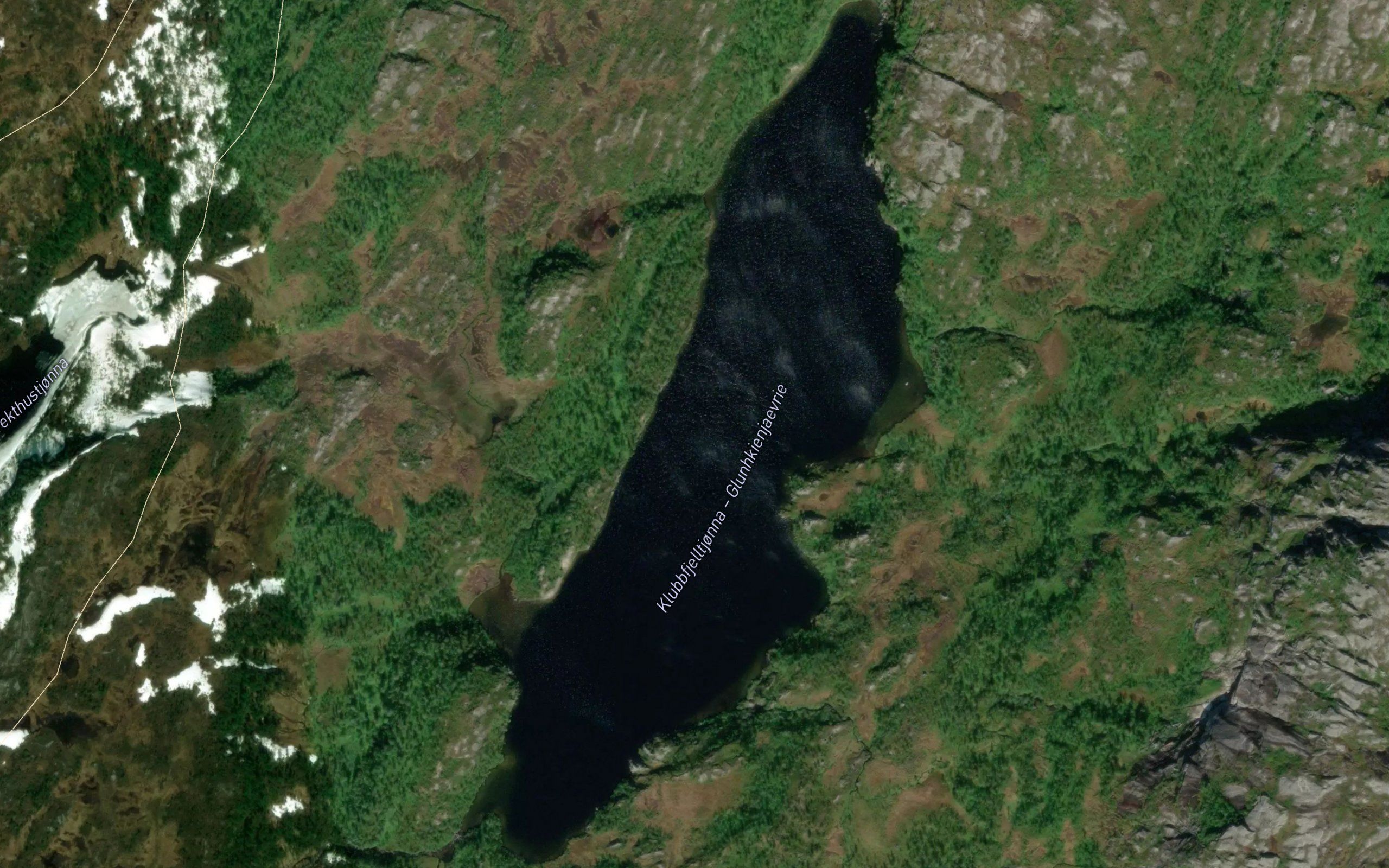 Klubbfjelltjorna