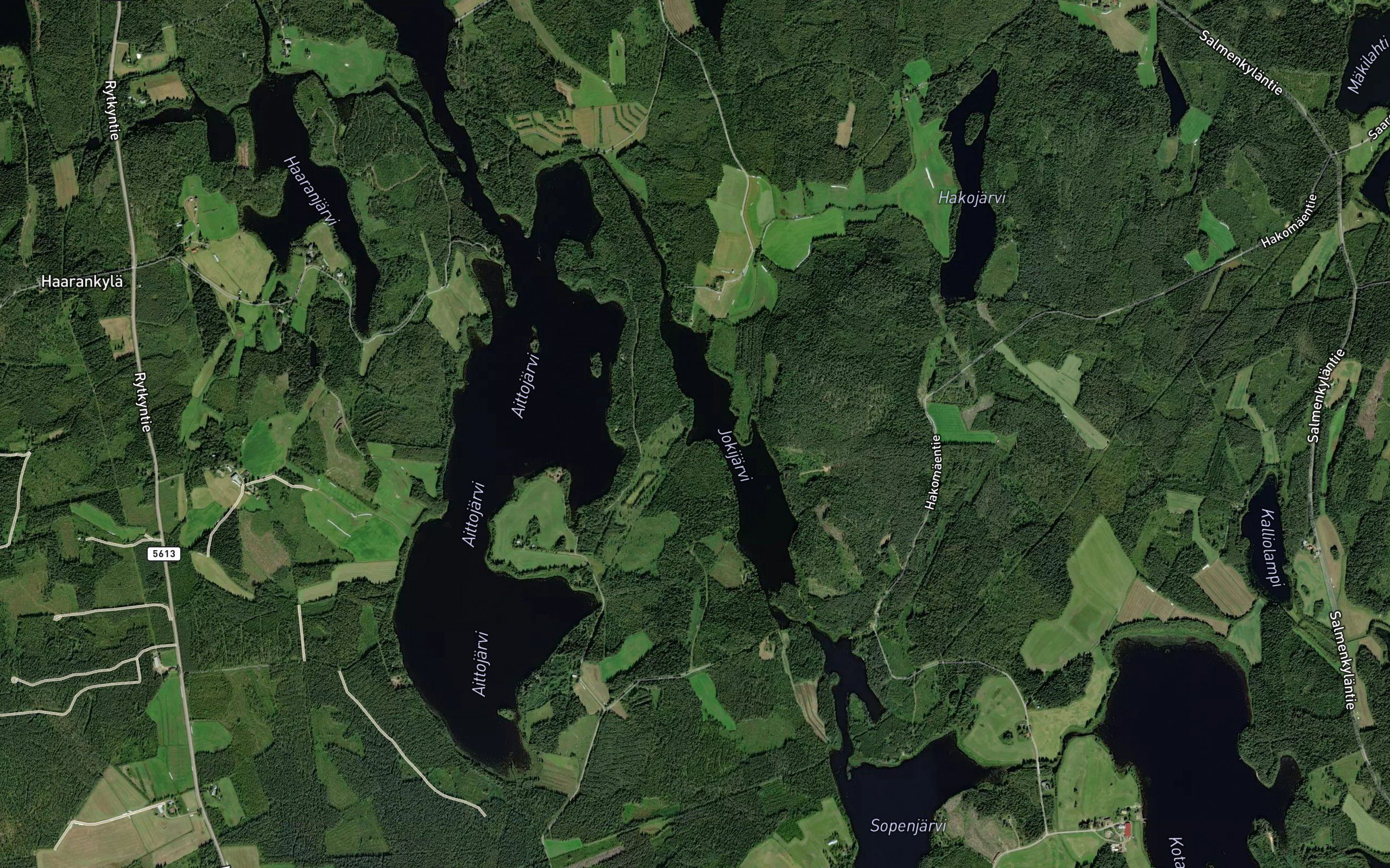 Ponkasyva