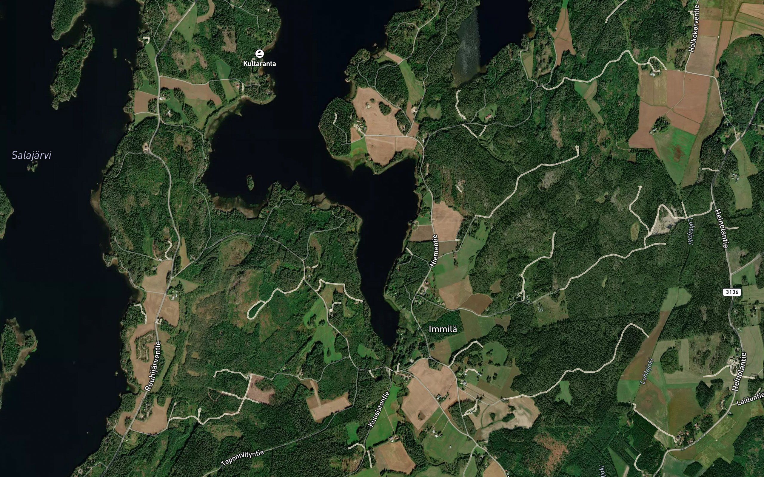 Immilanalanen