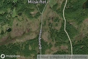 Ossortjonnbekken
