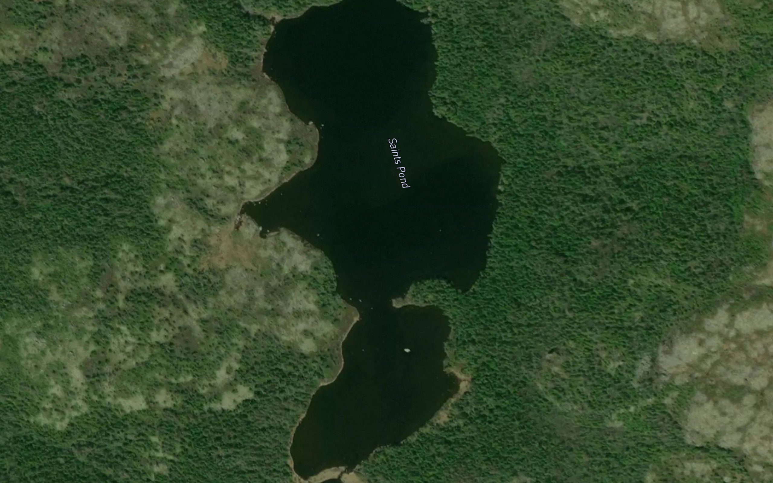 Saints Pond