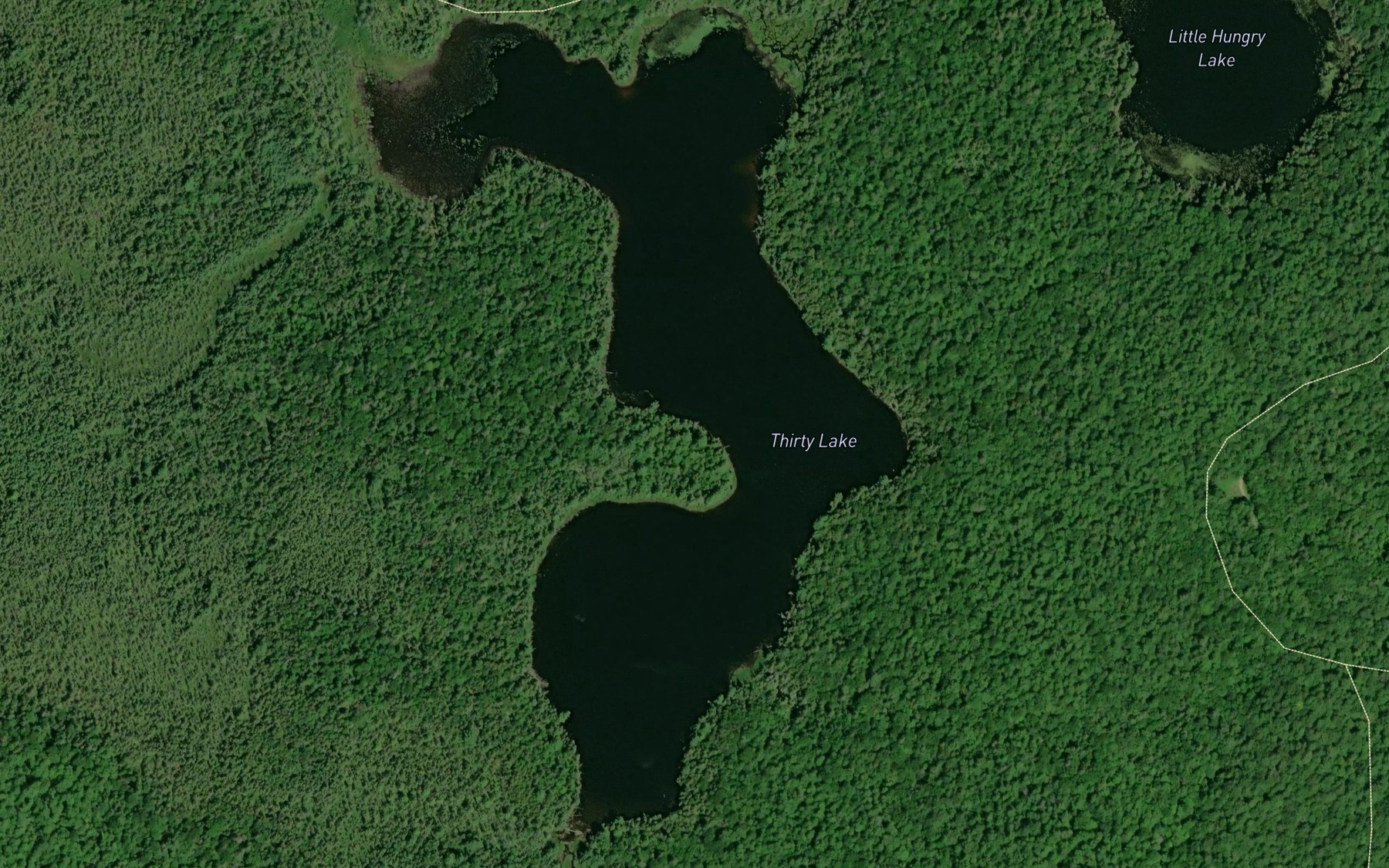 Satellite map of the Thirty Lake