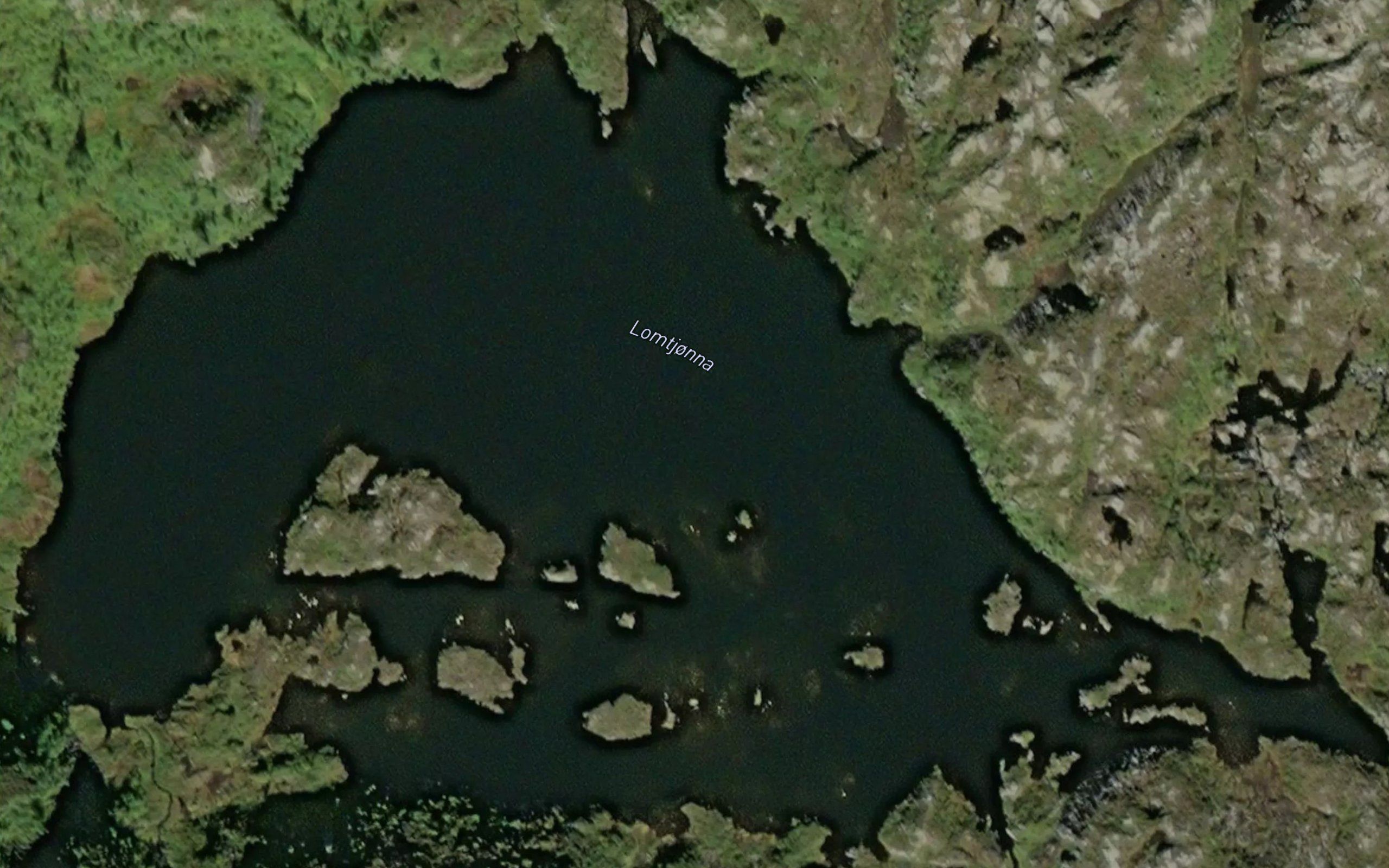 Lomtjonna