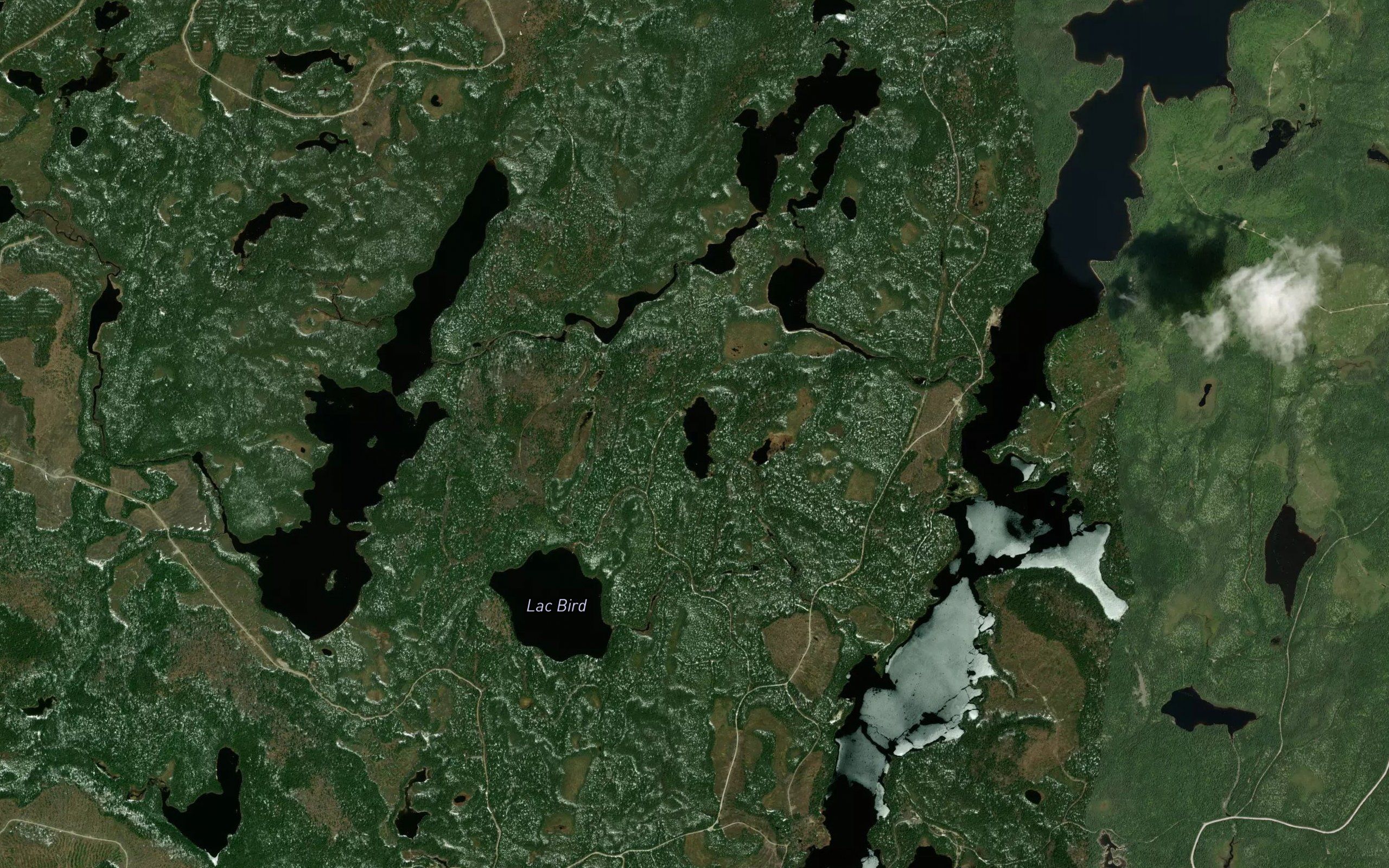 Lac Pitou