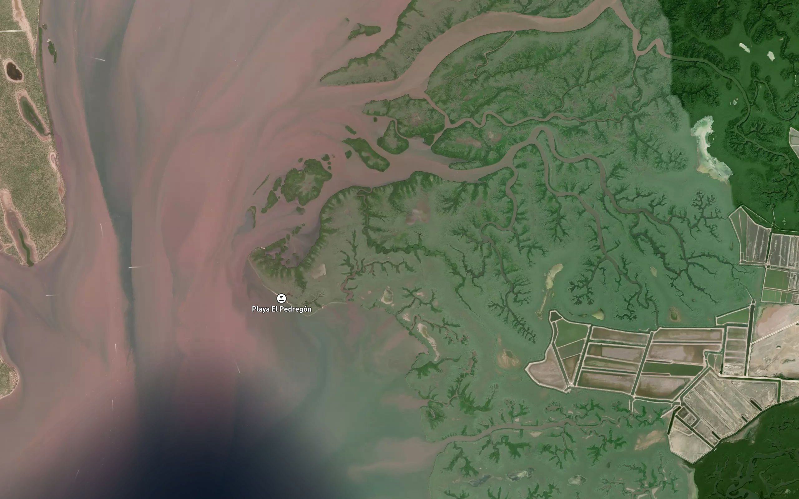 Estero La Pechuga