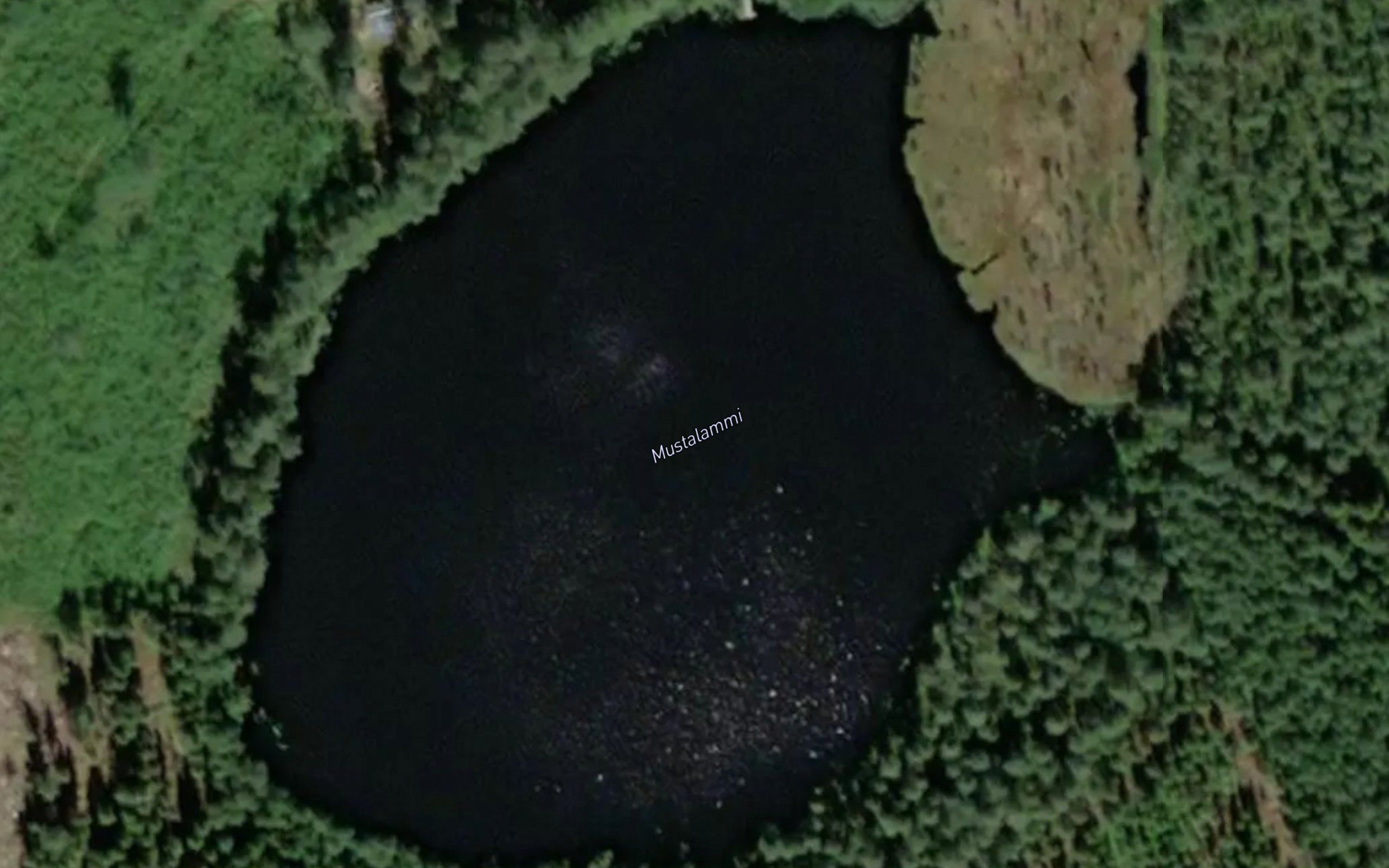 Mustalammi
