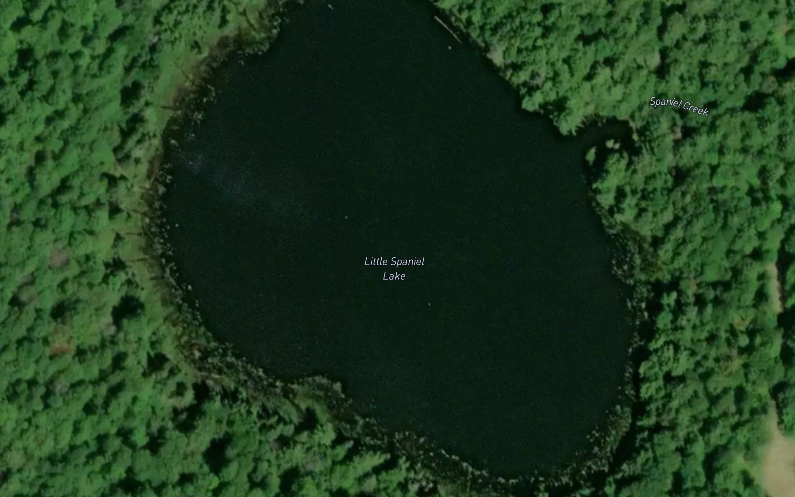 Little Spaniel Lake