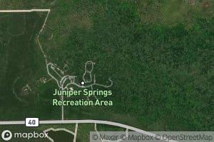 Fern Hammock Springs