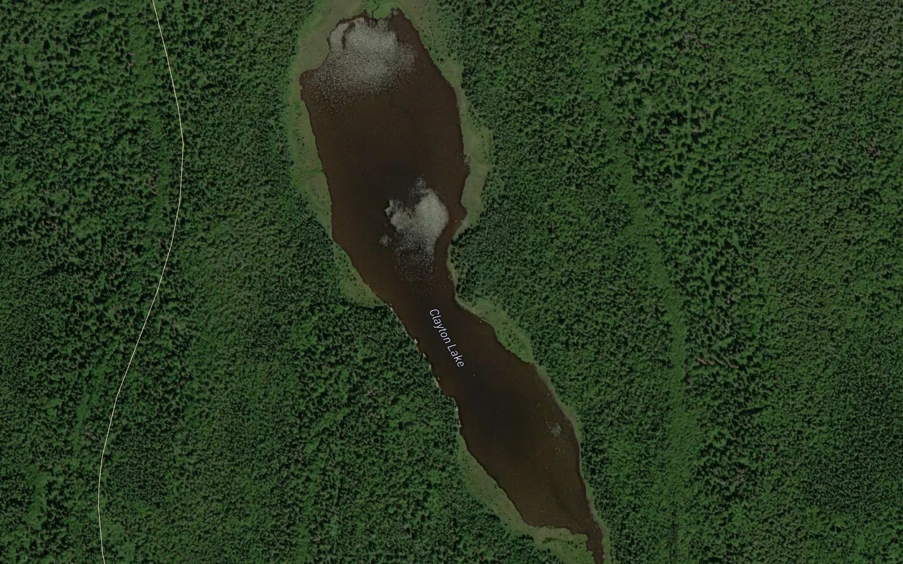 Satellite map of the Clayton Lake