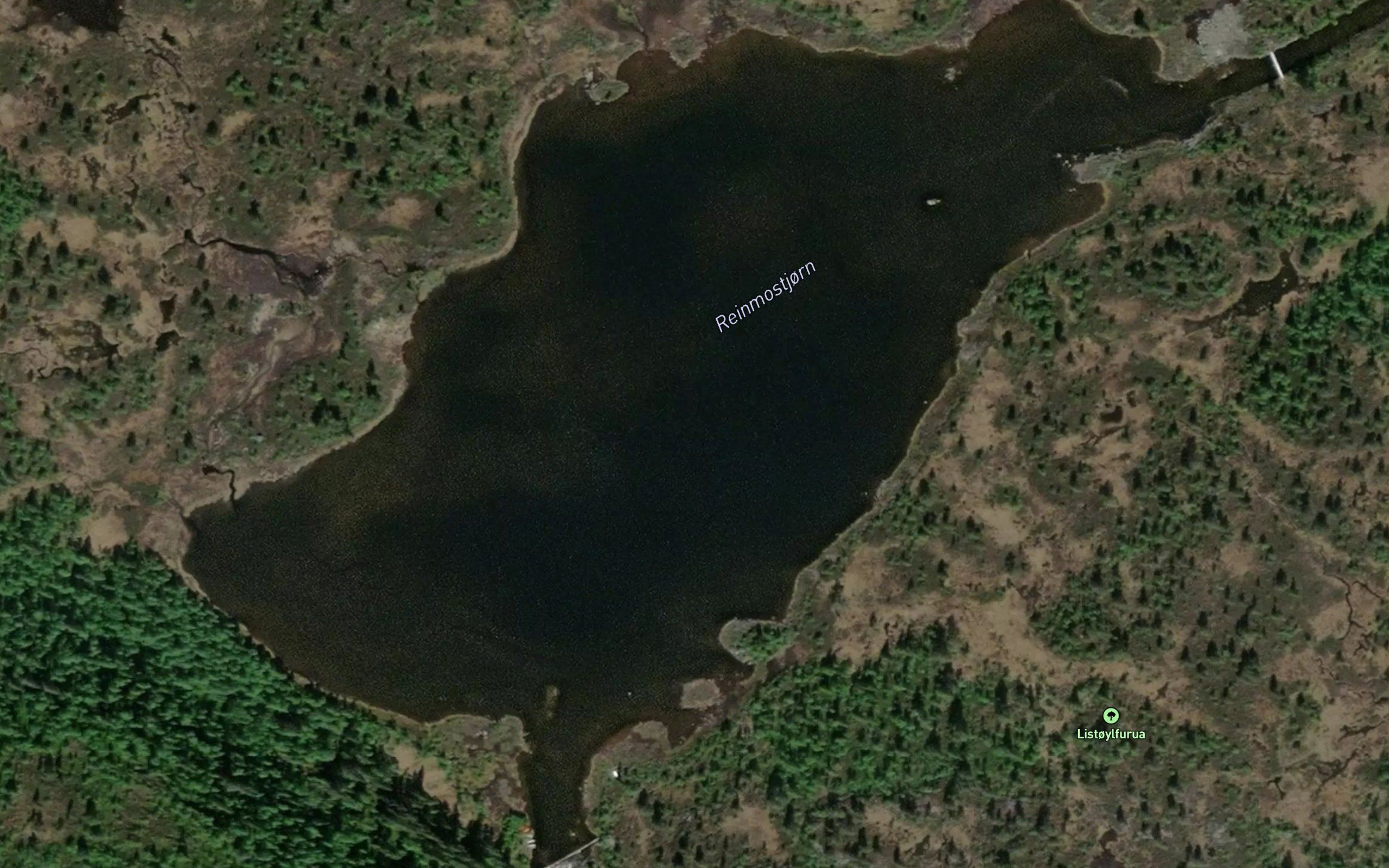 Reinmostjorn