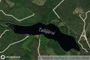 Tallijarvi