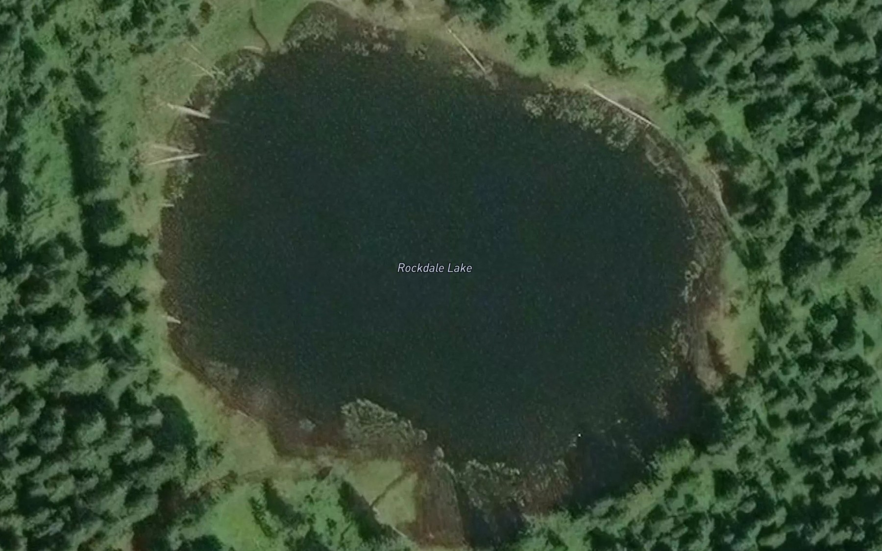 Satellite map of the Rockdale Lake