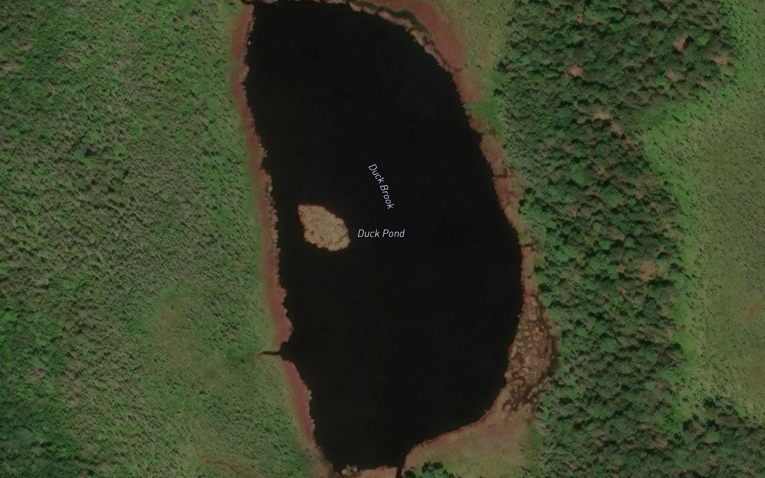 Duck Pond