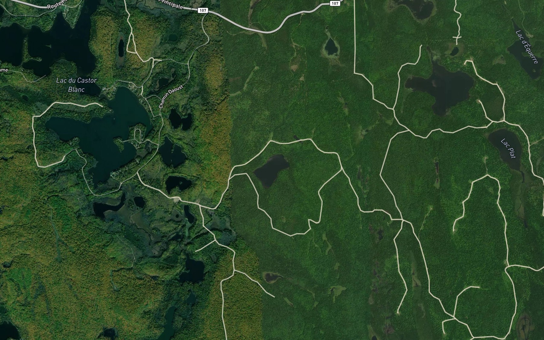 Satellite map of the Lac de la Pruche