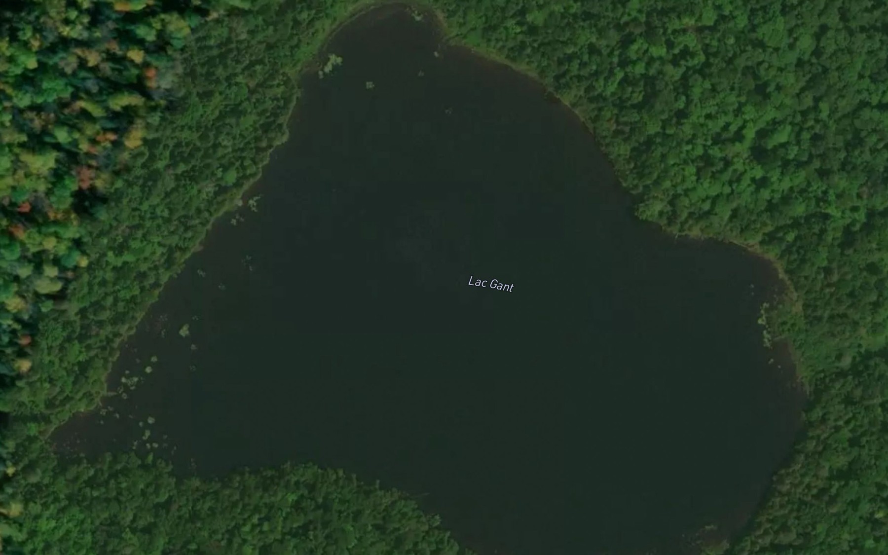 Satellite map of the Lac Gant