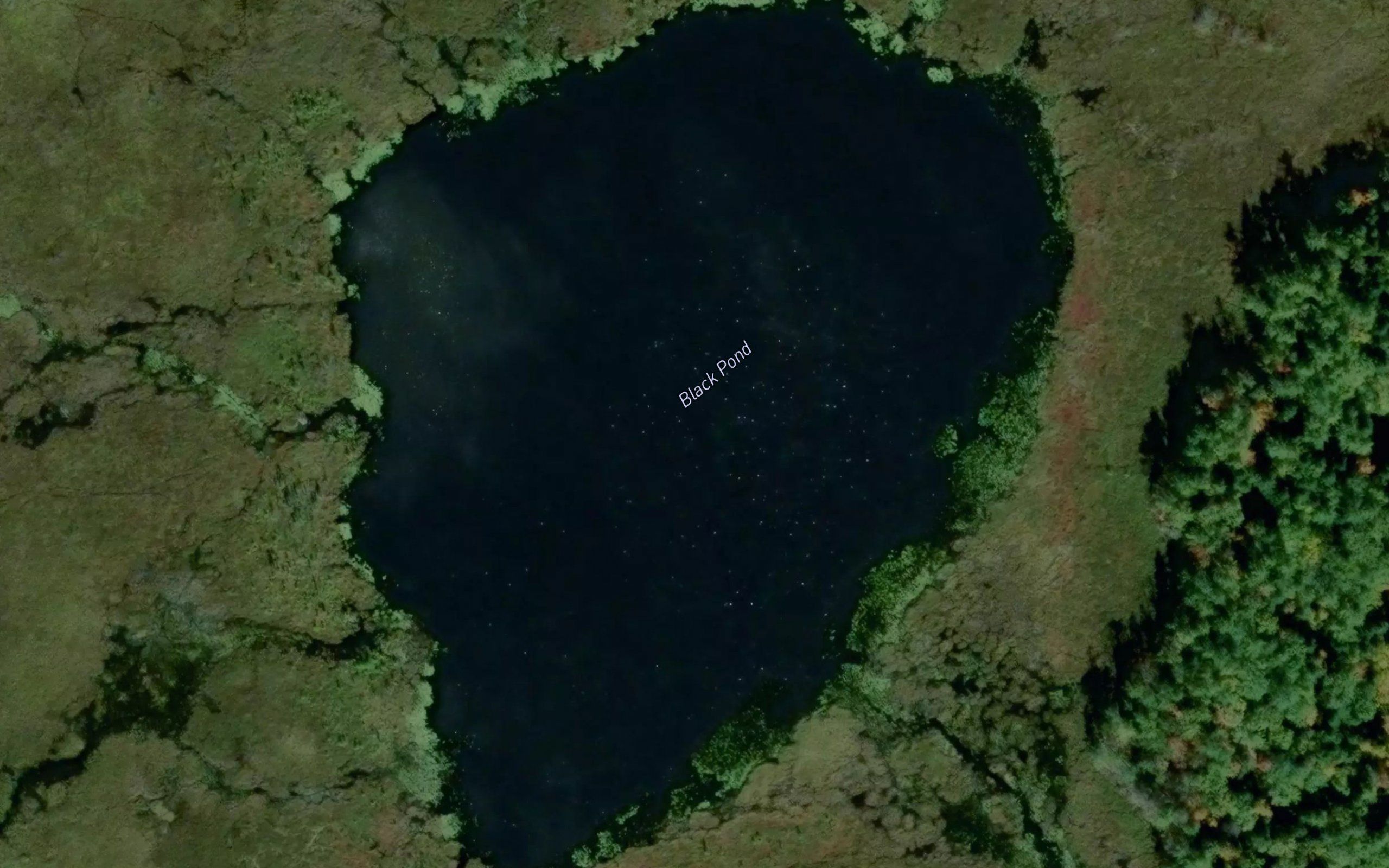 Black Pond
