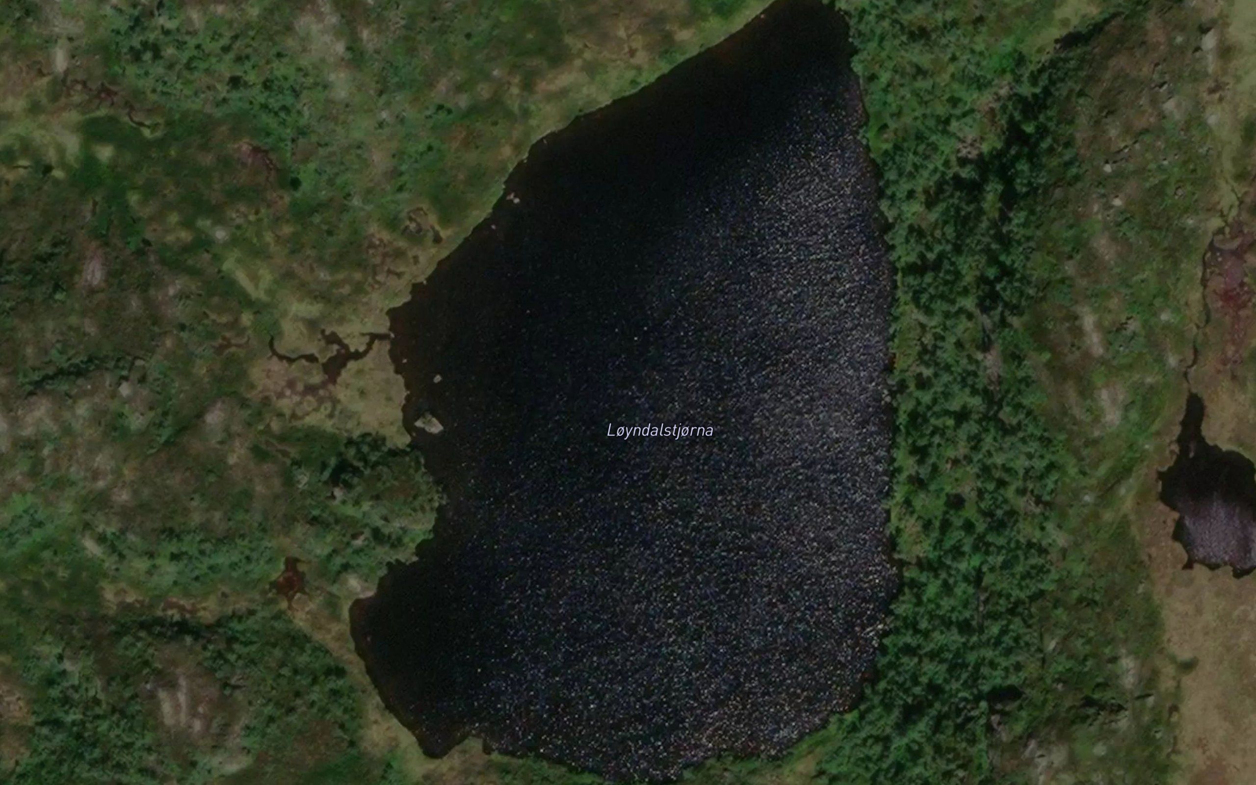 Loyndalstjorna