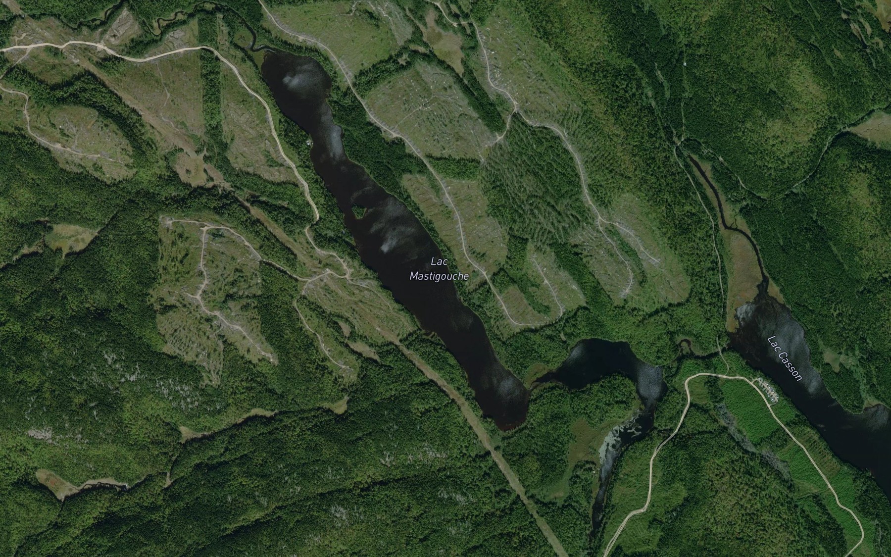 Satellite map of the Lac Mastigouche