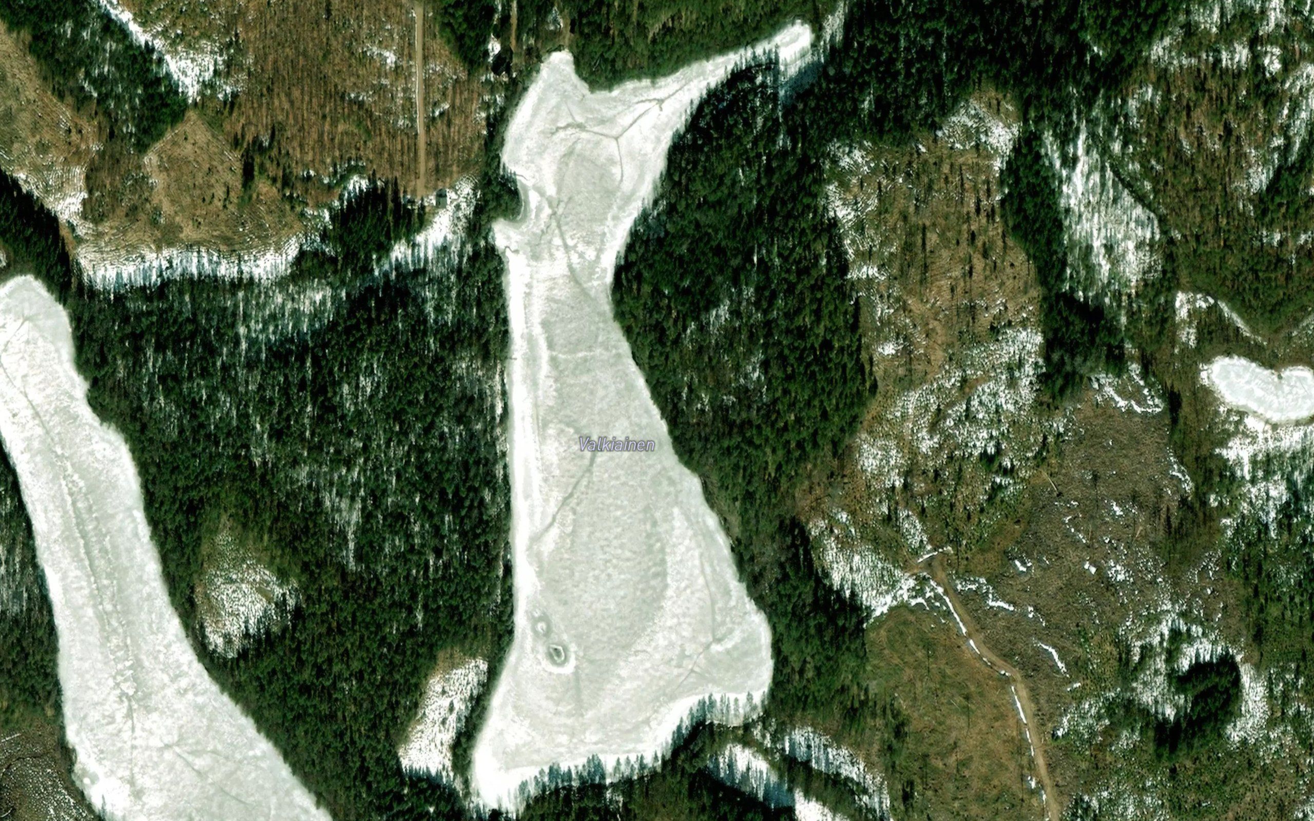 Valkiainen