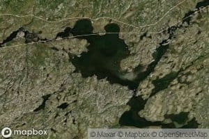 Skardstjornane