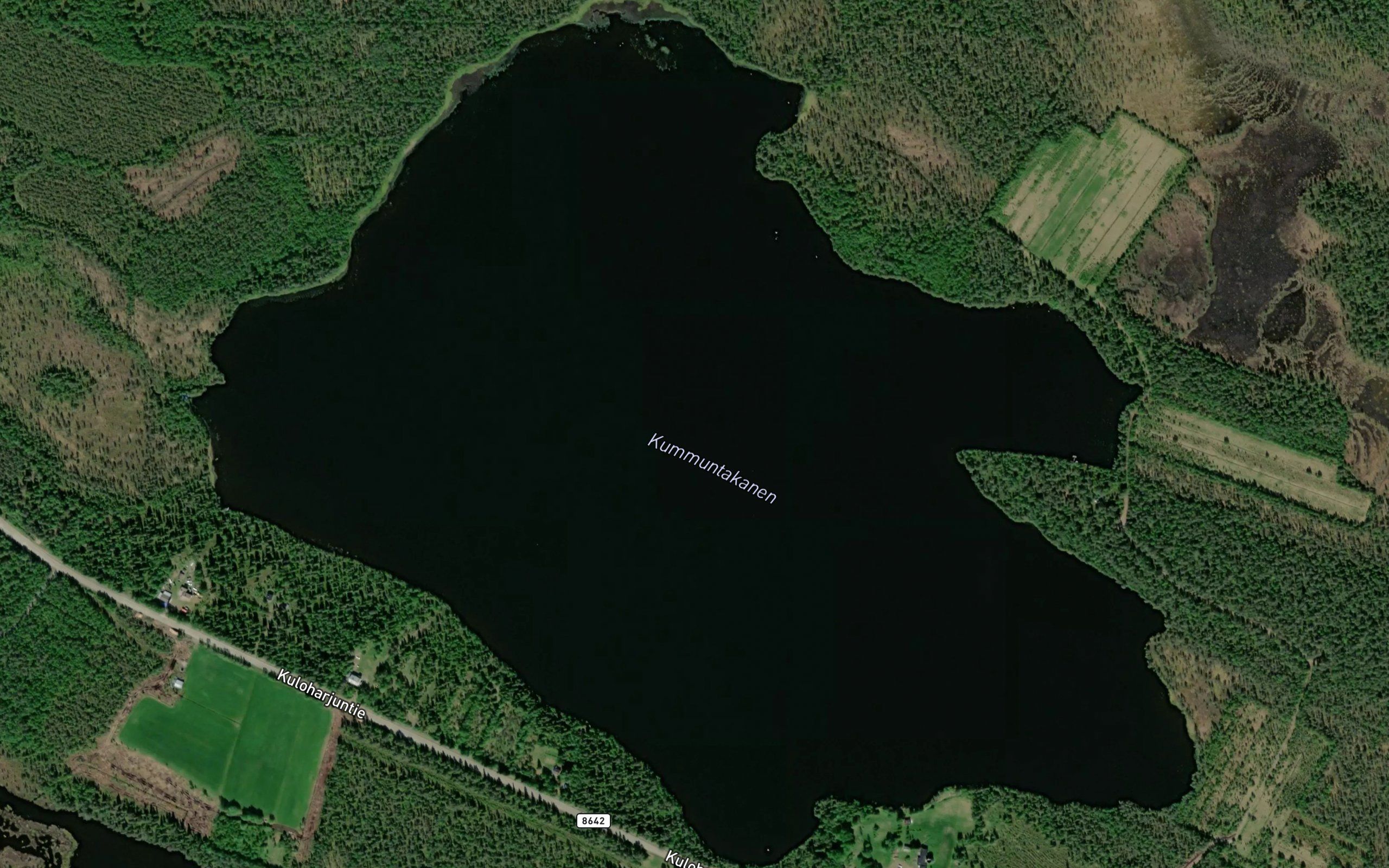 Kummuntakanen