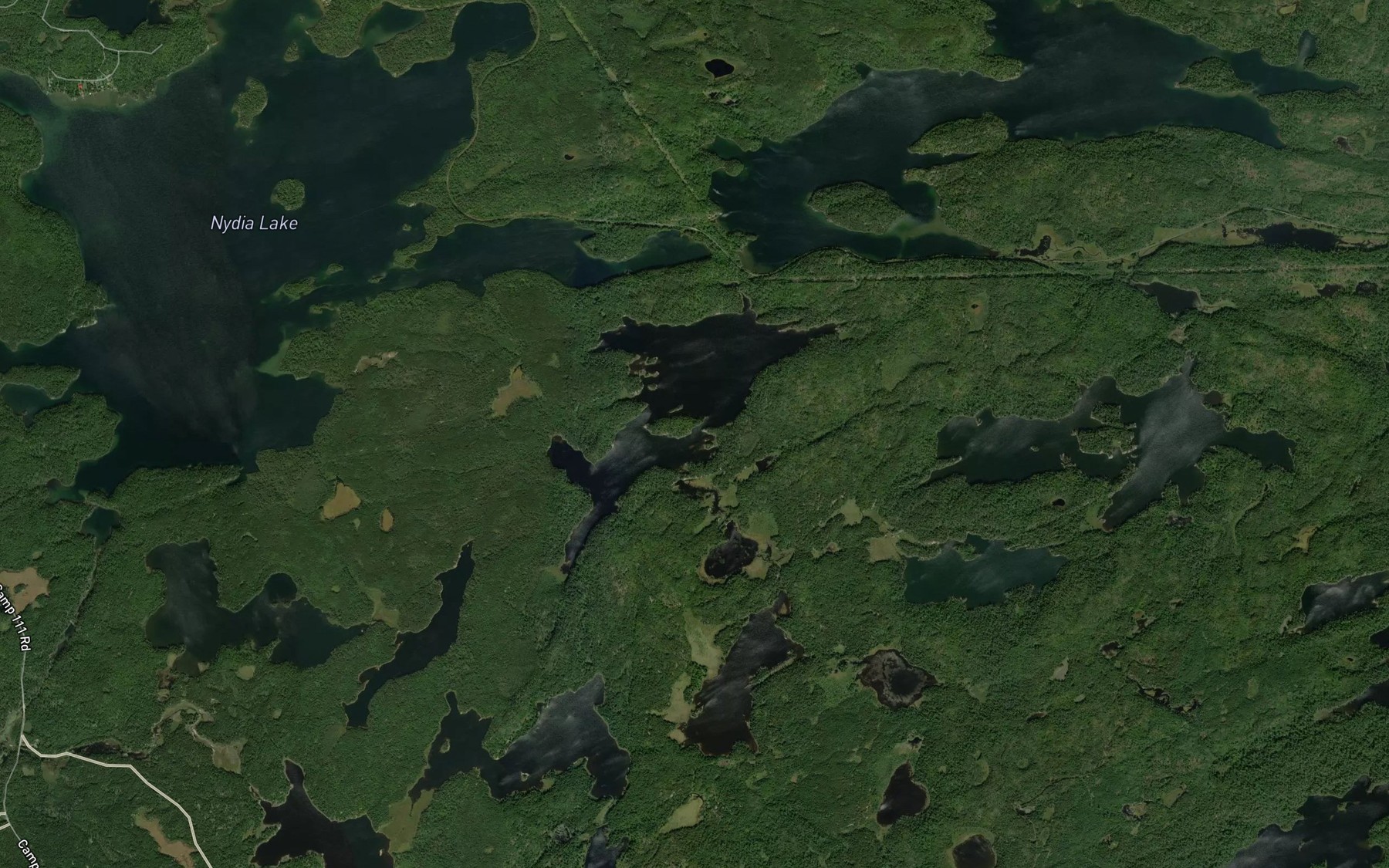Satellite map of the Atkins Lake