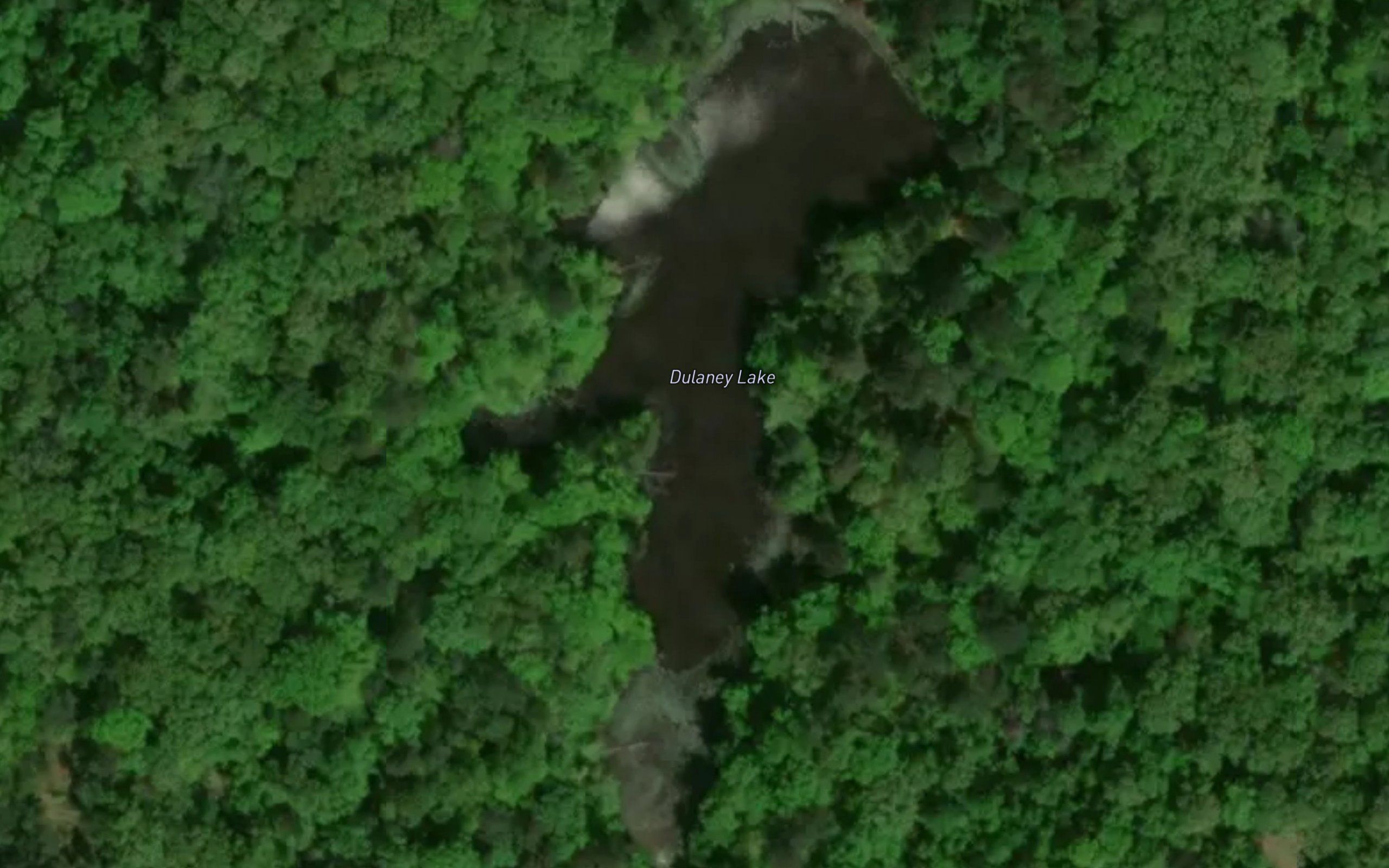 Dulaney Lake