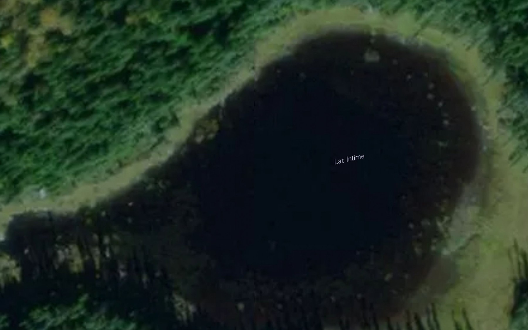 Satellite map of the Lac Intime