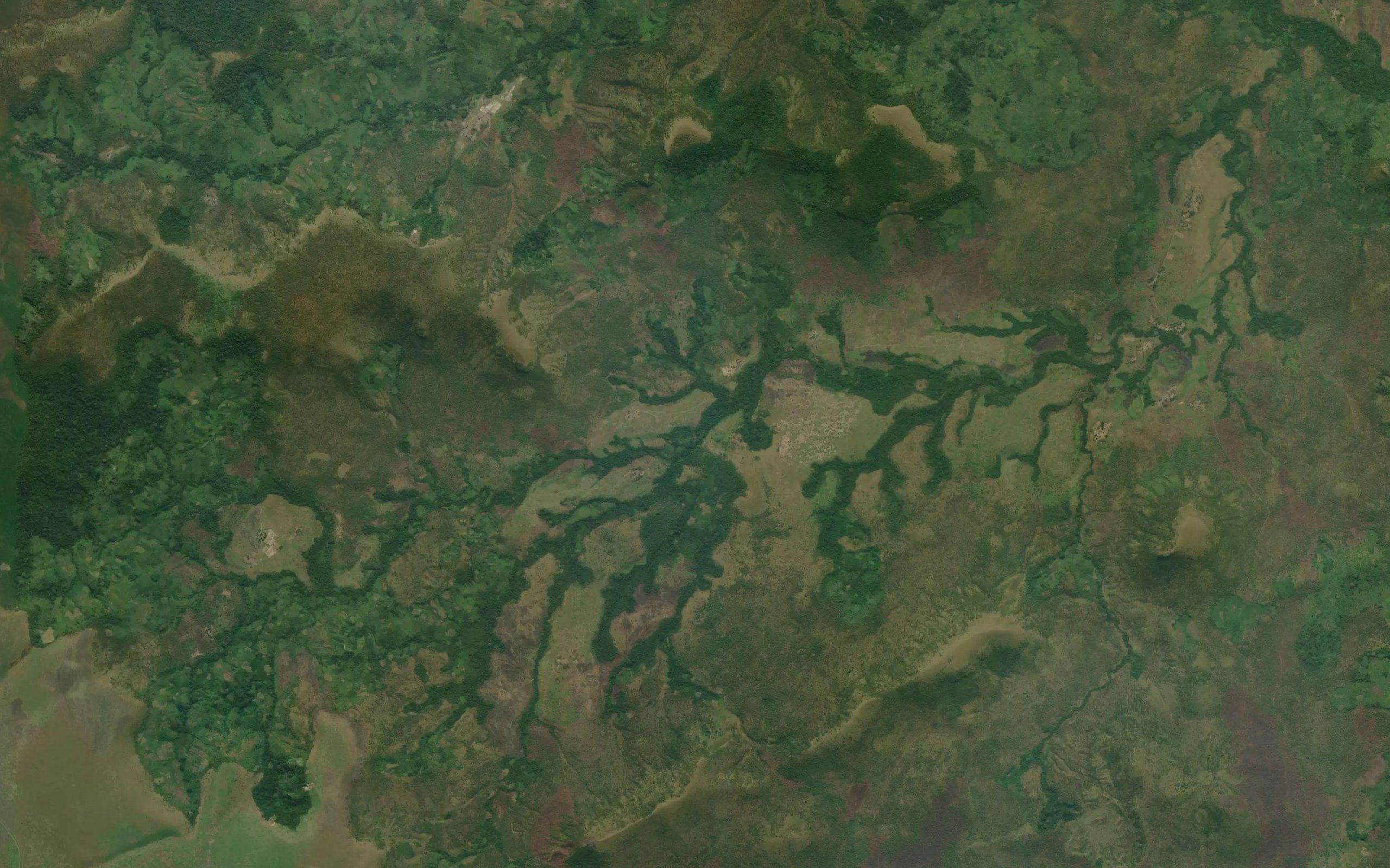 Wamba
