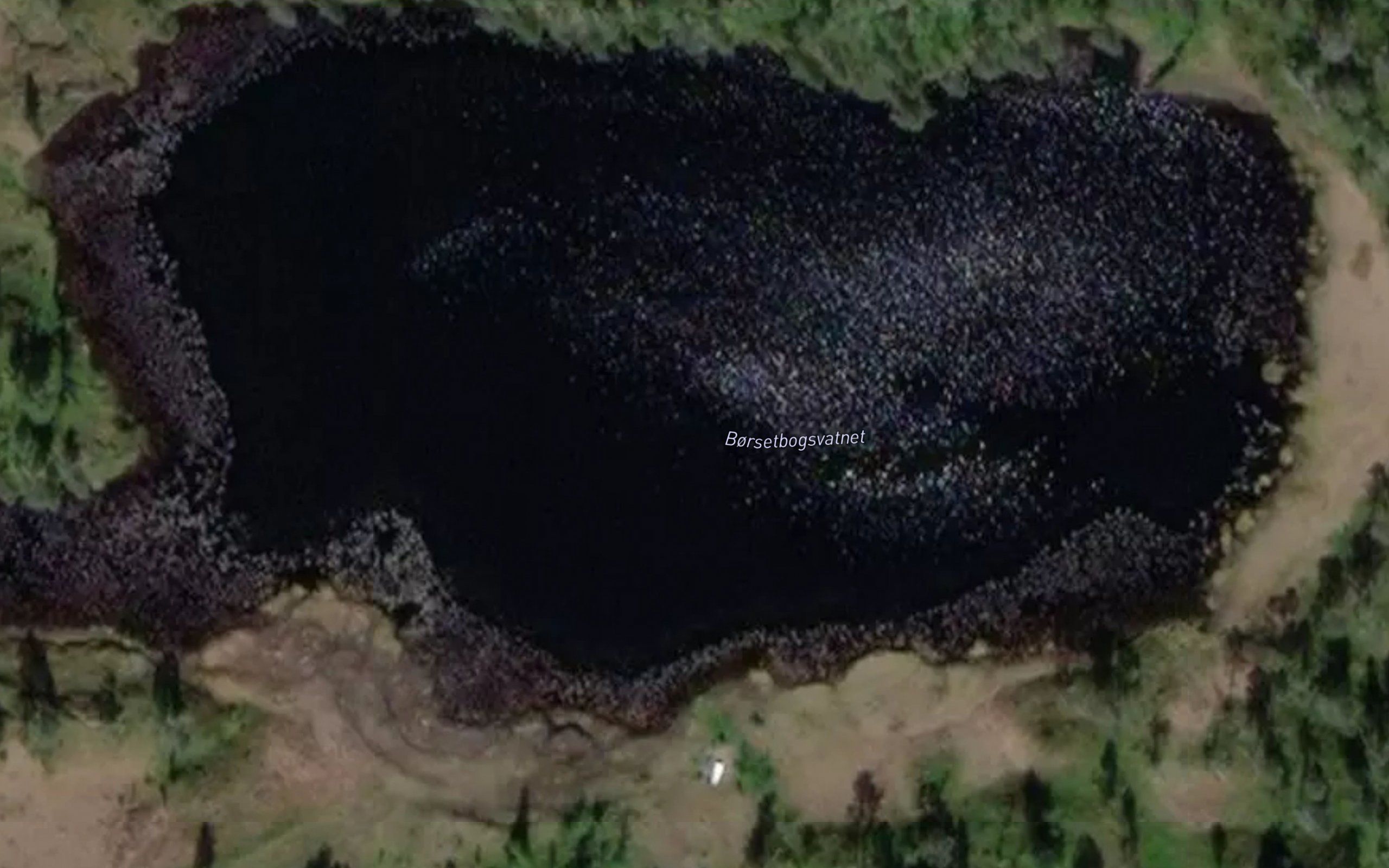 Borsetbokksvatnet