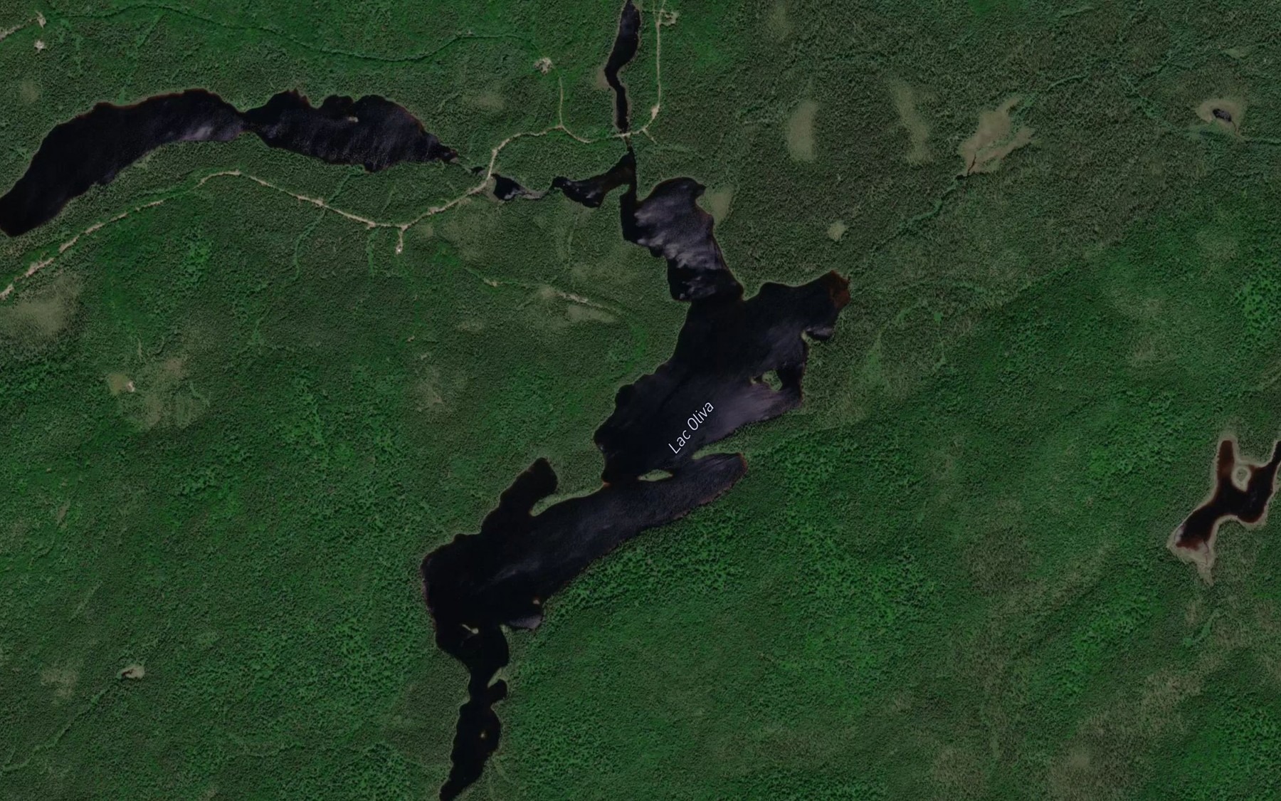 Satellite map of the Lac Oliva