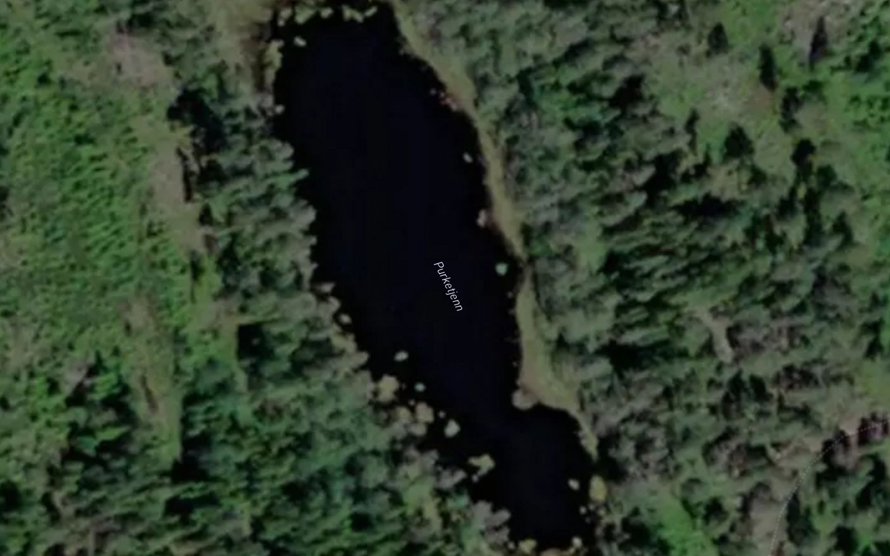 Satellite map of the Purketjern