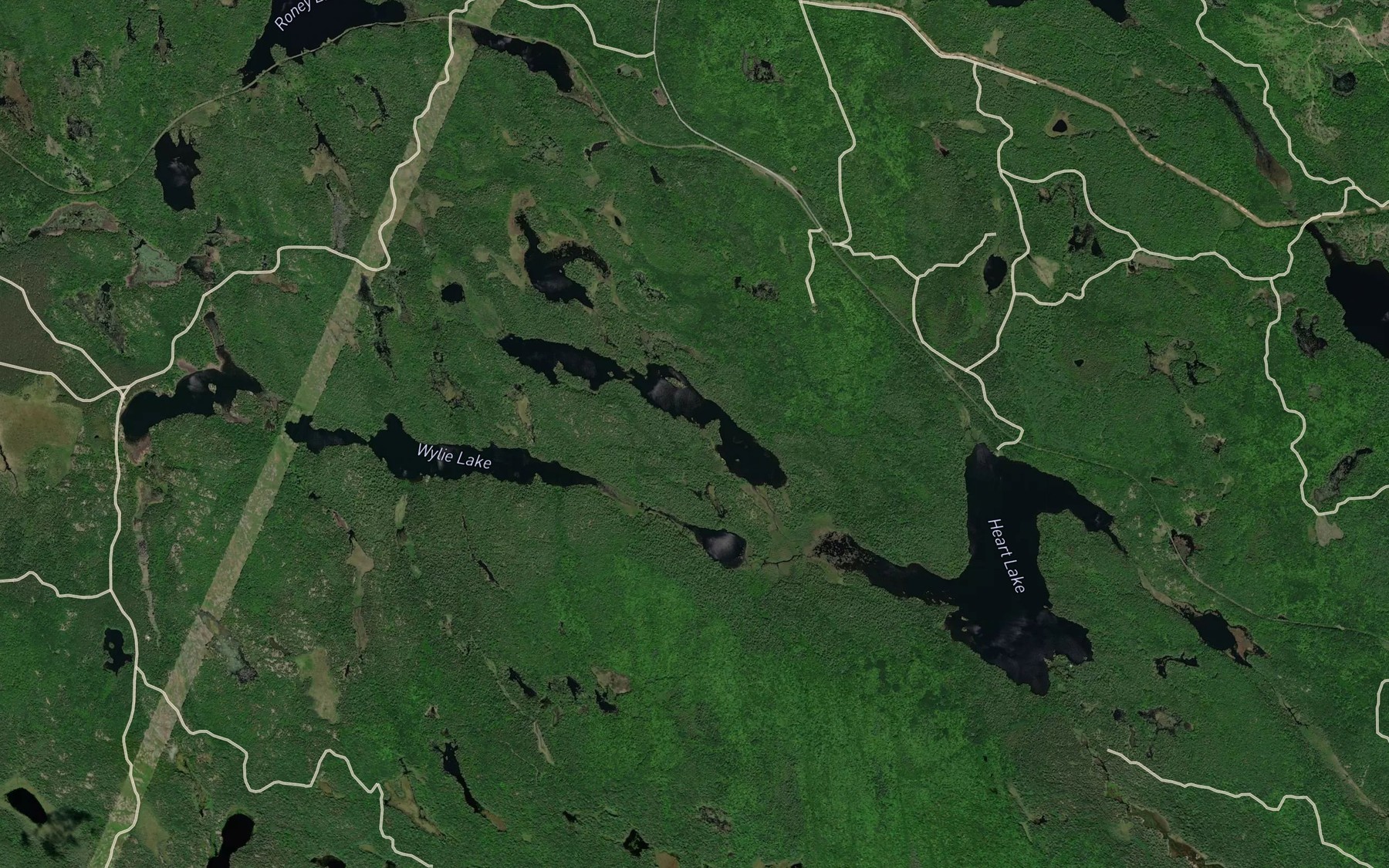 Satellite map of the Lee Lake