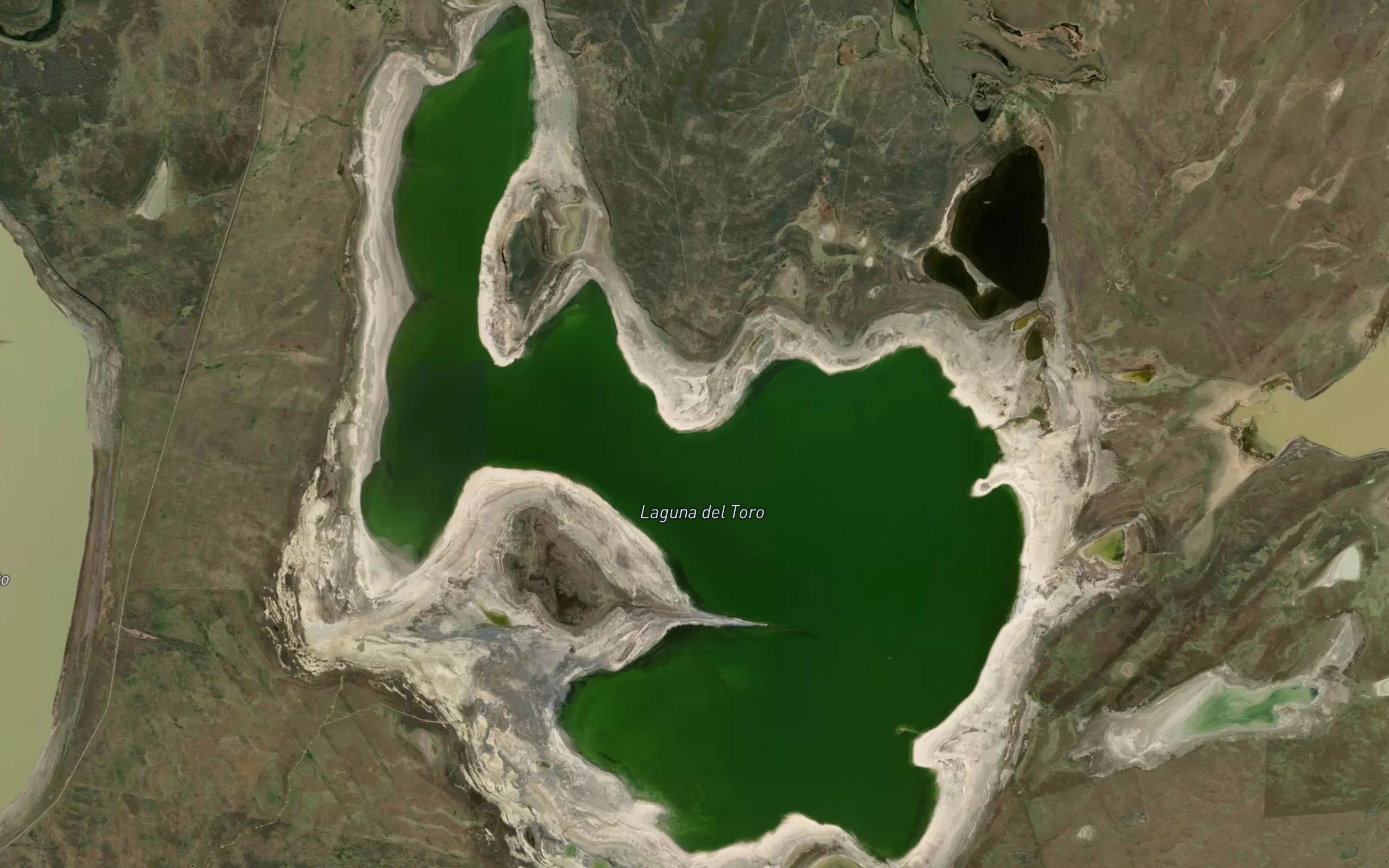 Laguna del Toro