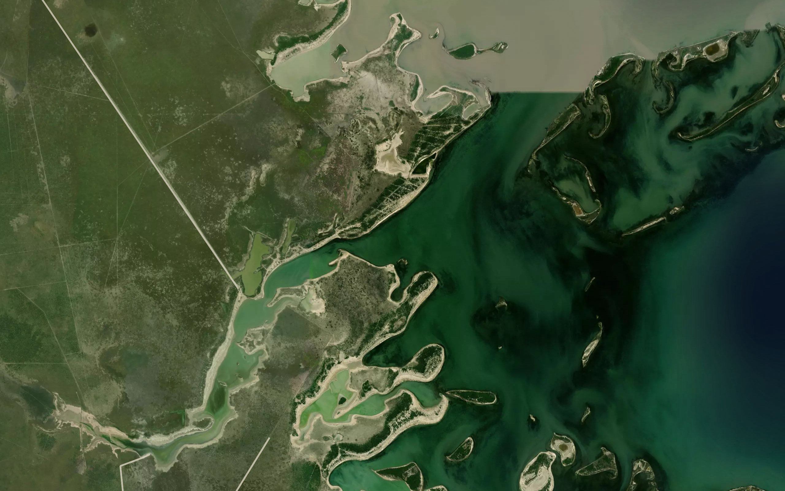 Estero Arpa Lisada