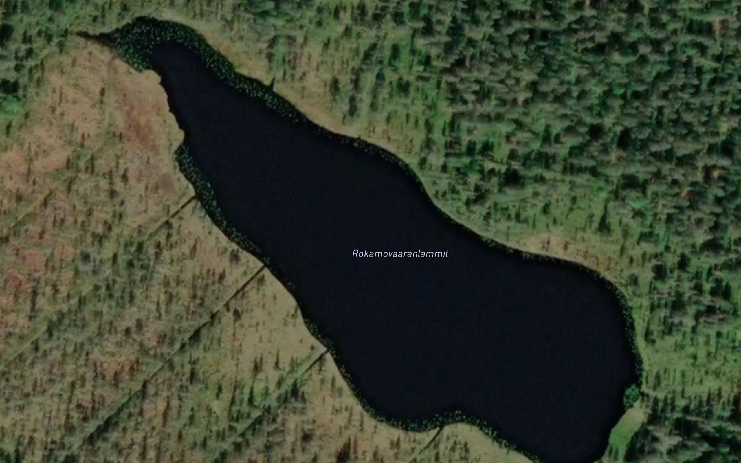 Rokamovaaranlammit