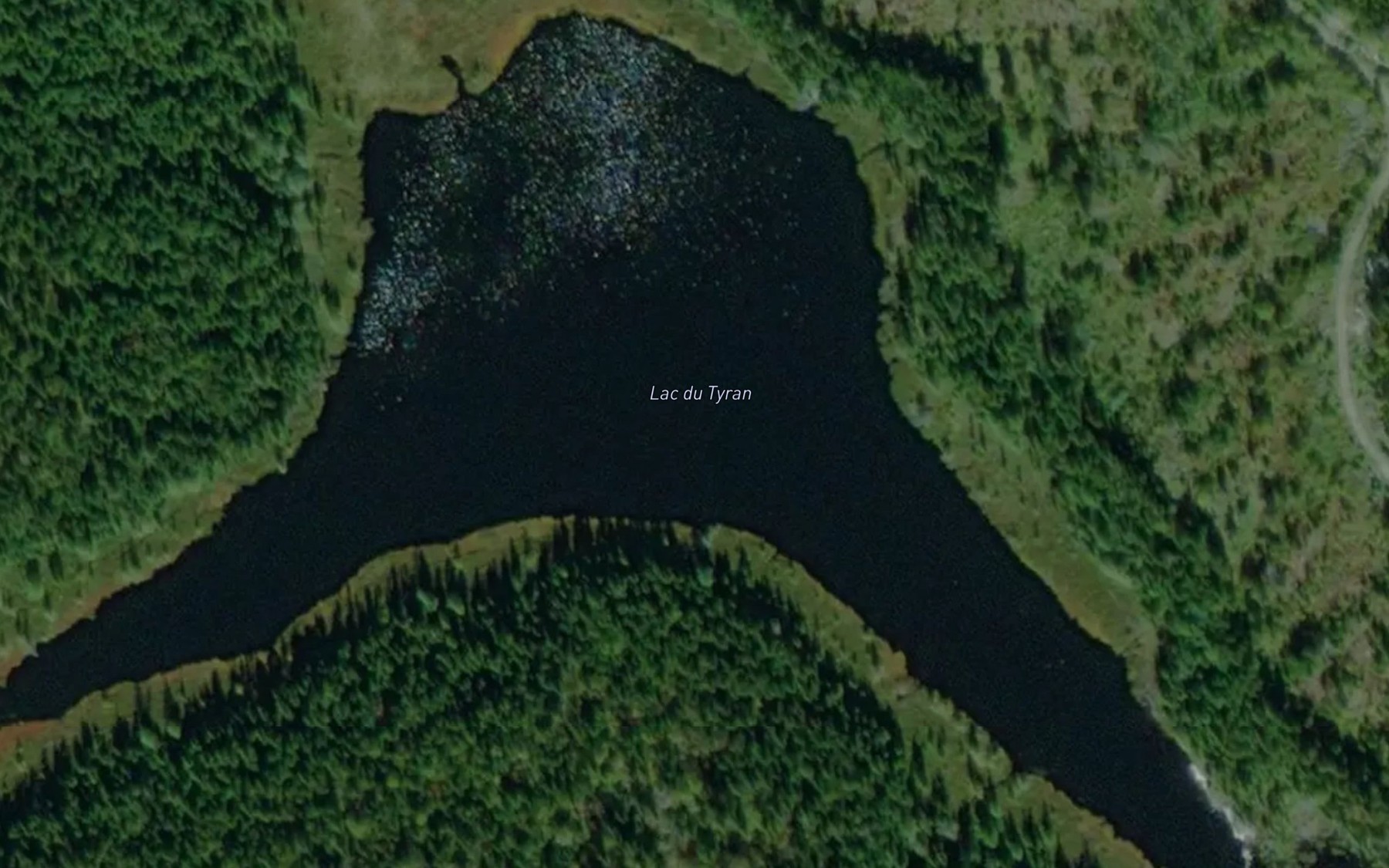 Satellite map of the Lac du Tyran