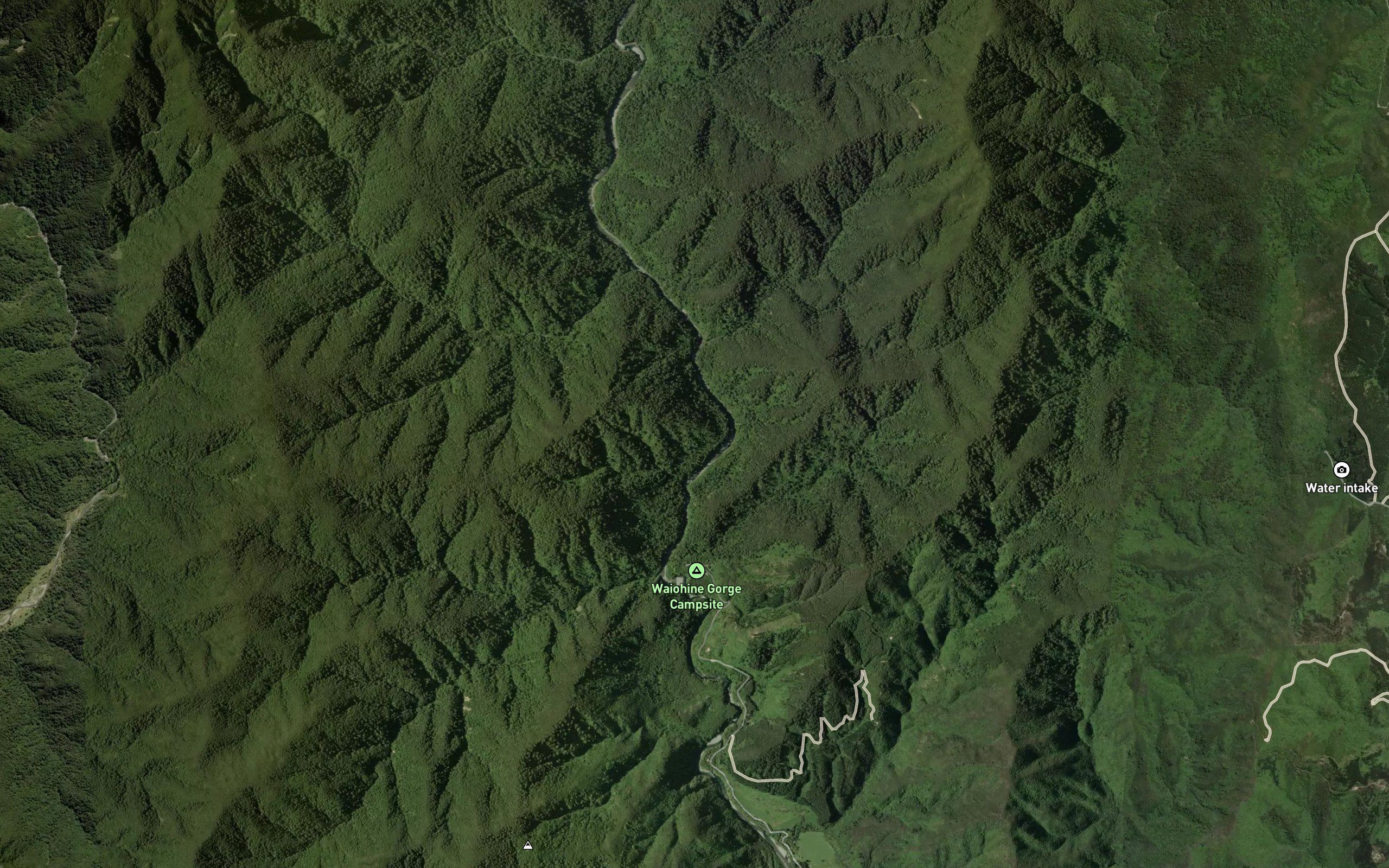 Fern Stream