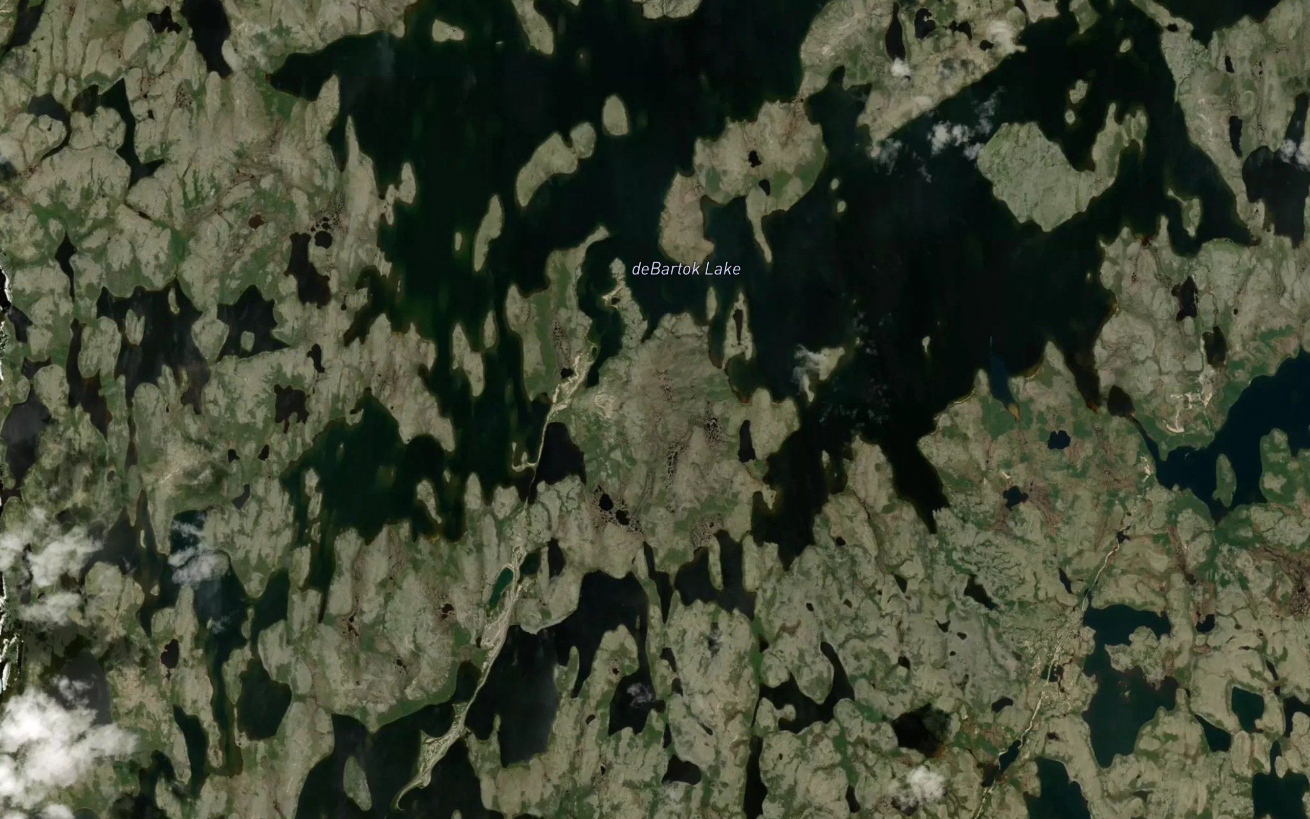 deBartok Lake