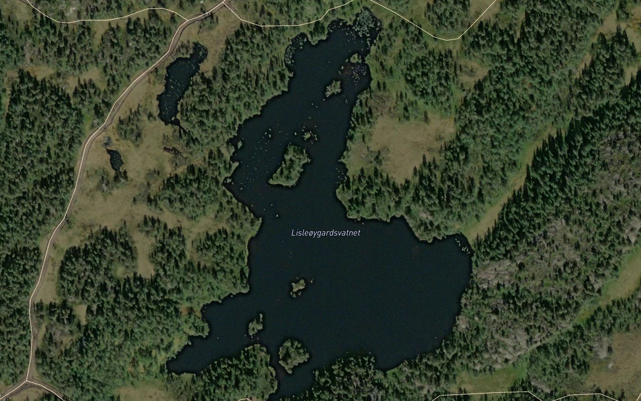 Lisleoygardsvatn