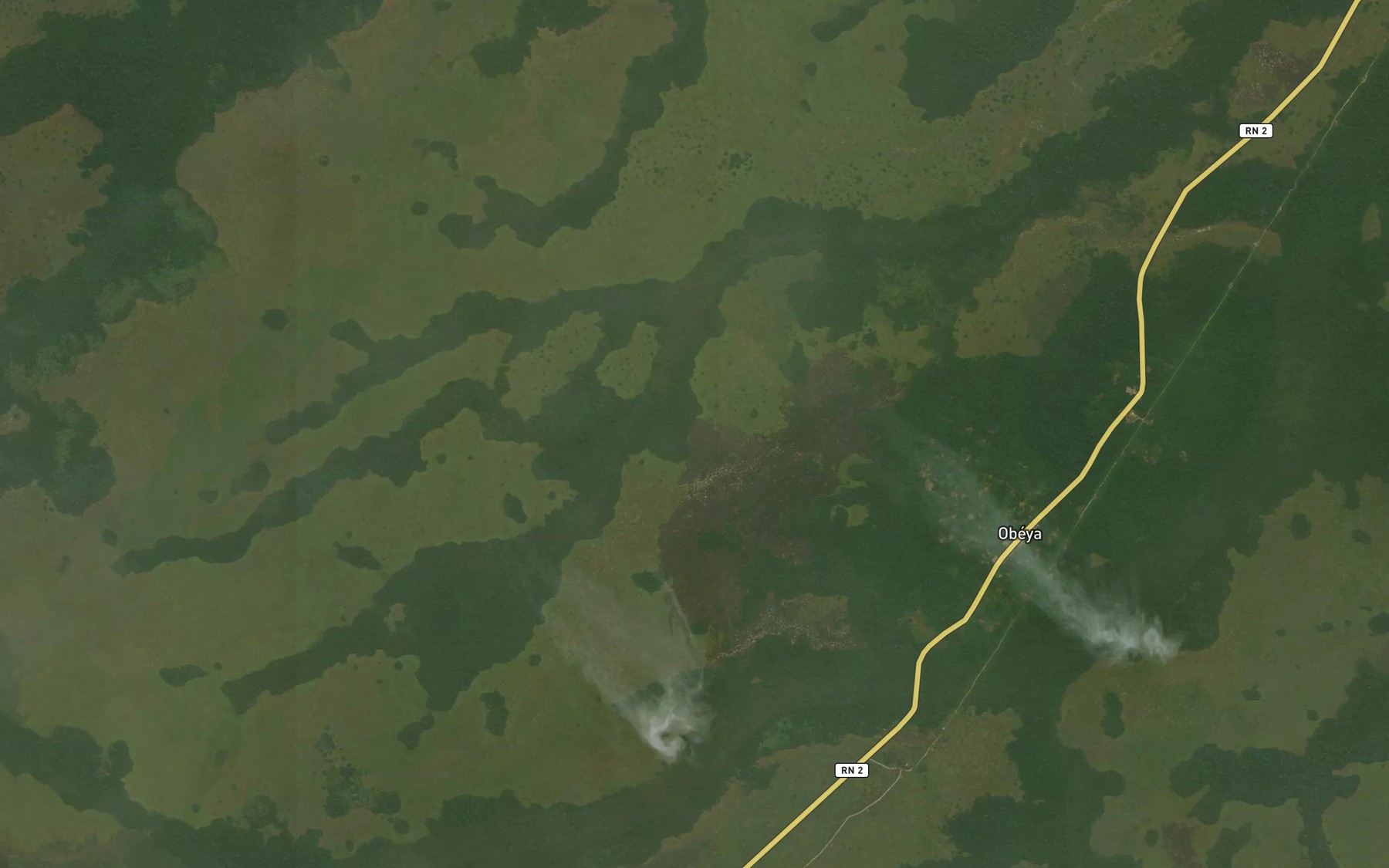 Satellite map of the Ngoudameri