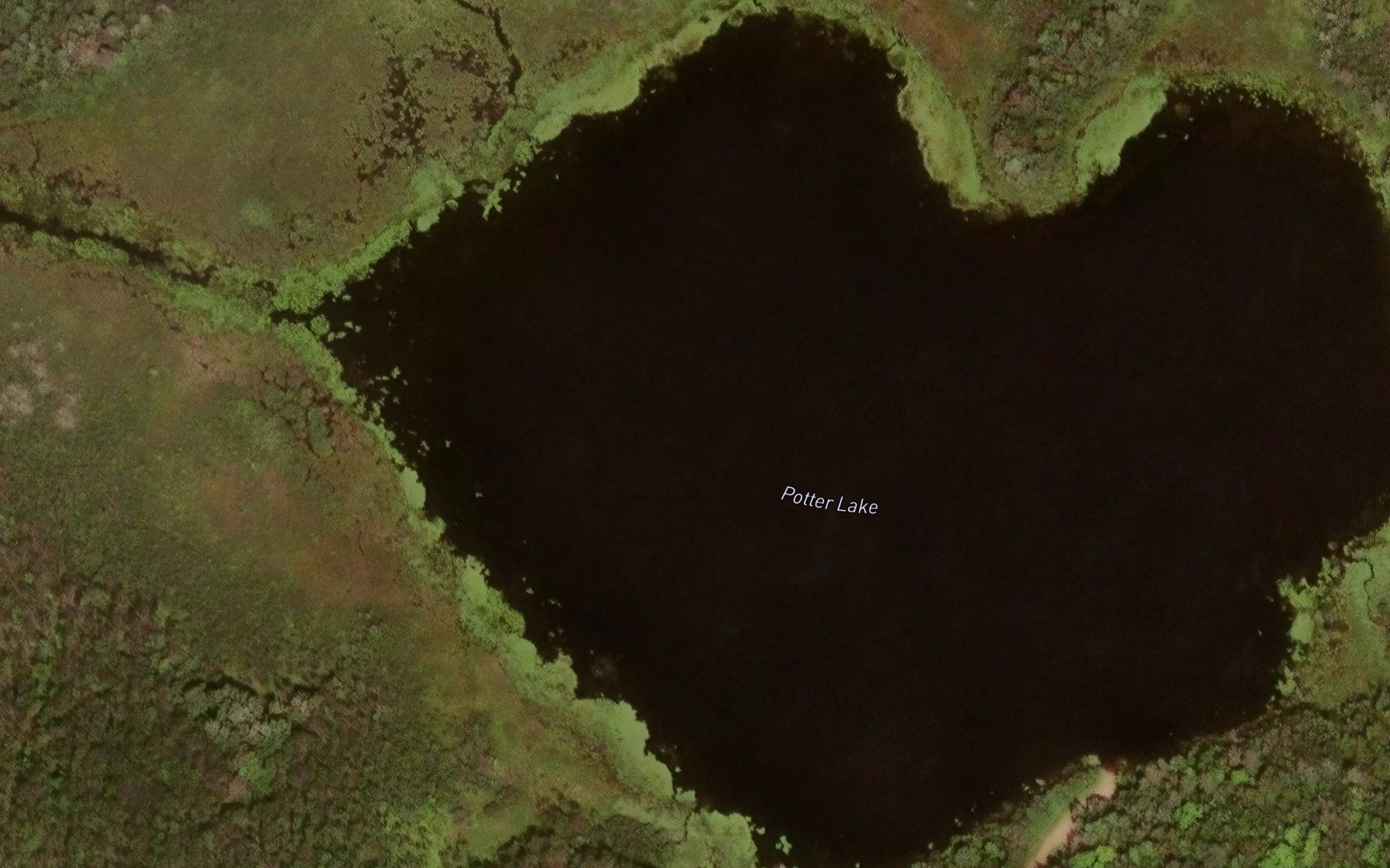 Potter Lake
