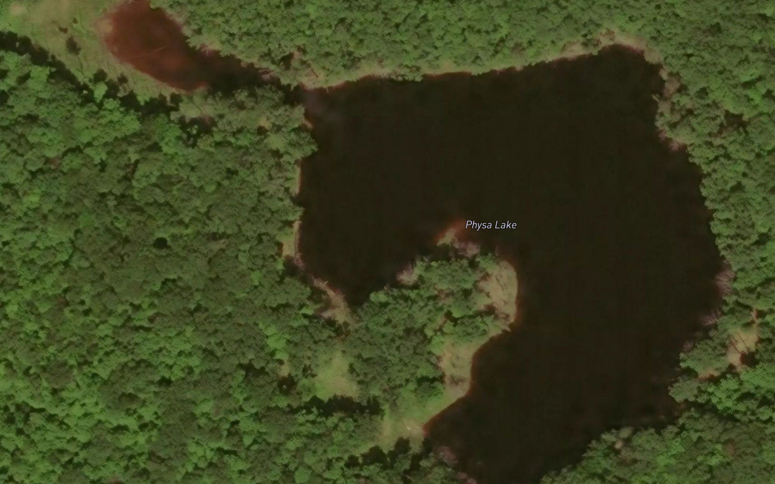 Physa Lake