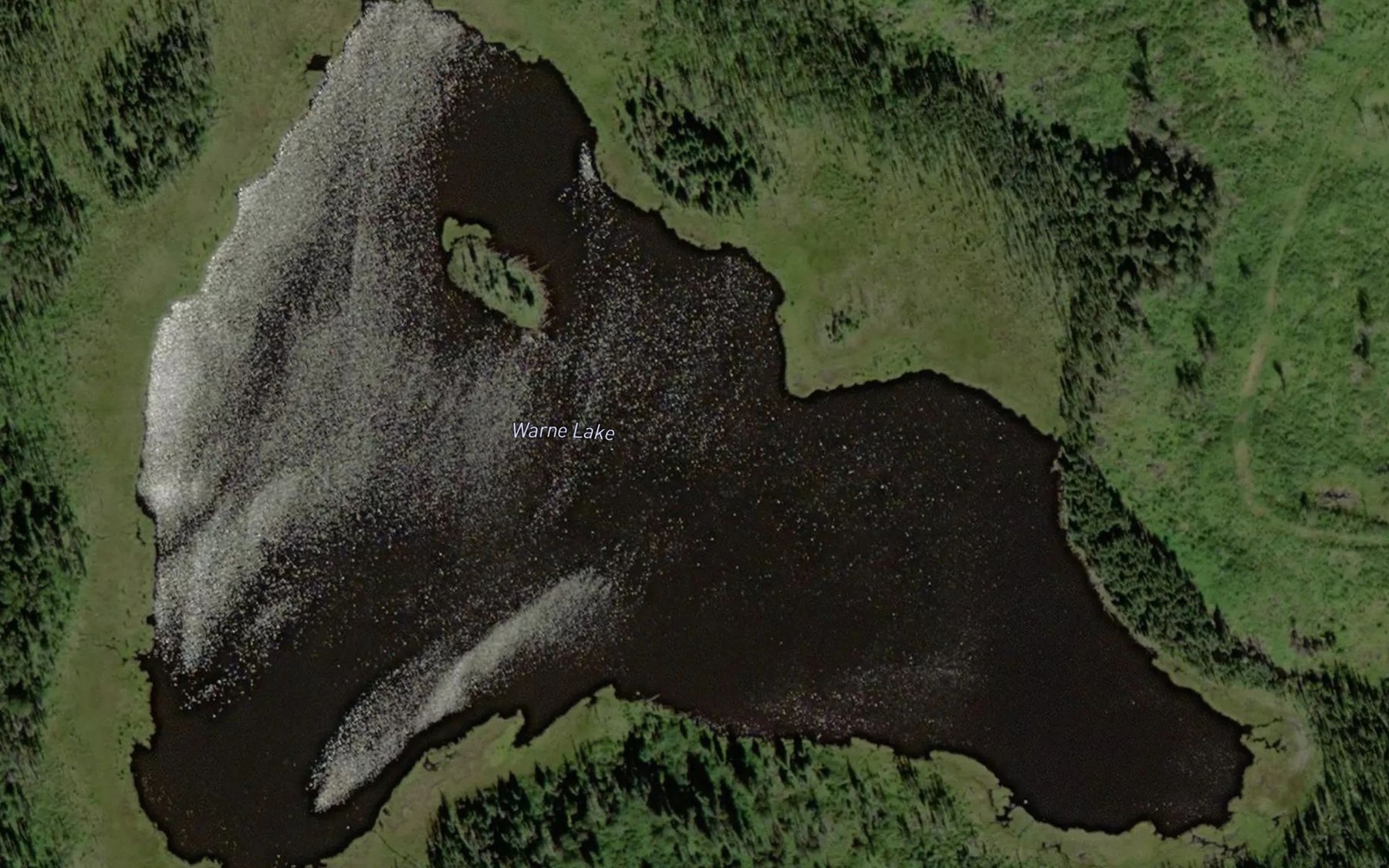 Satellite map of the Warne Lake