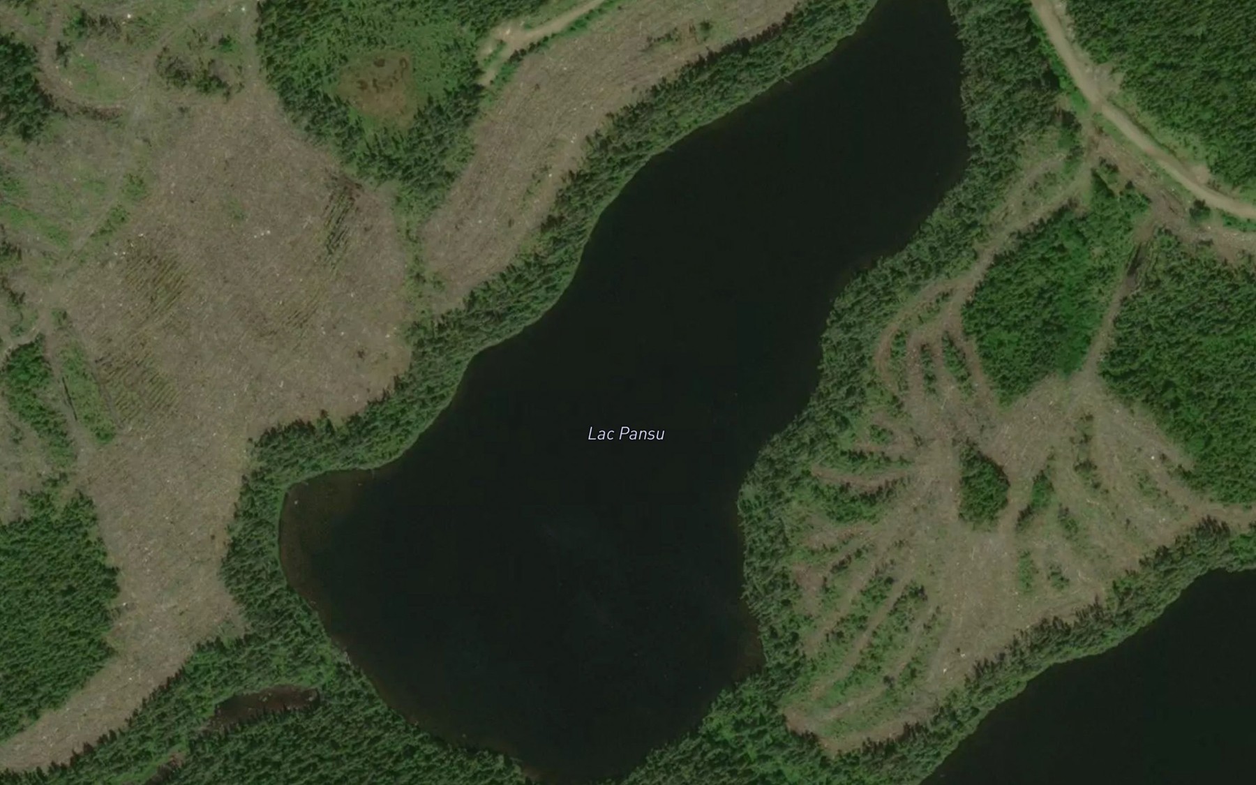 Satellite map of the Lac Pansu